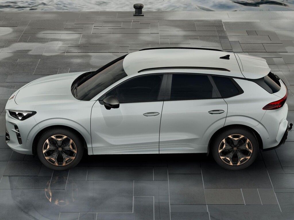 Cupra Terramar, 2.0TSI 150kW DSG 4WD - fotka 2
