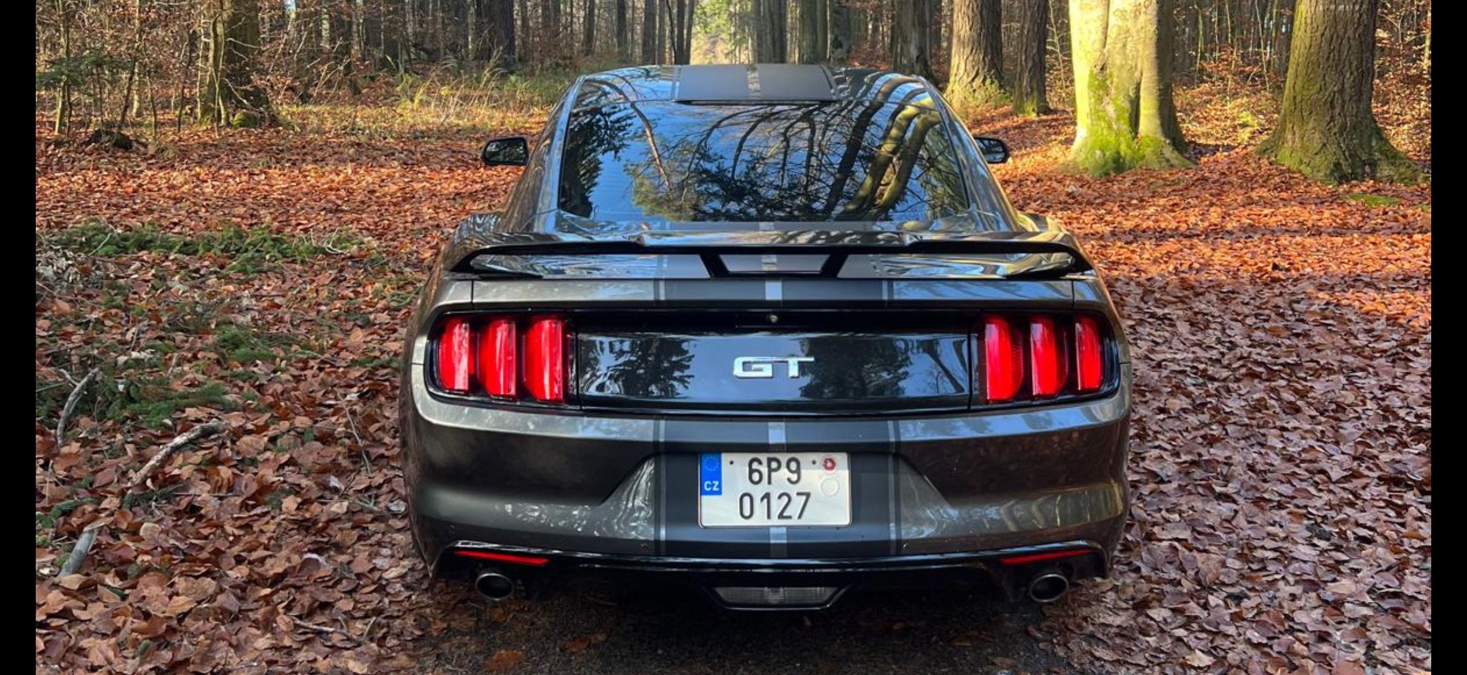 Ford Mustang, 5.0L GT Performance Pack Top!! - fotka 5