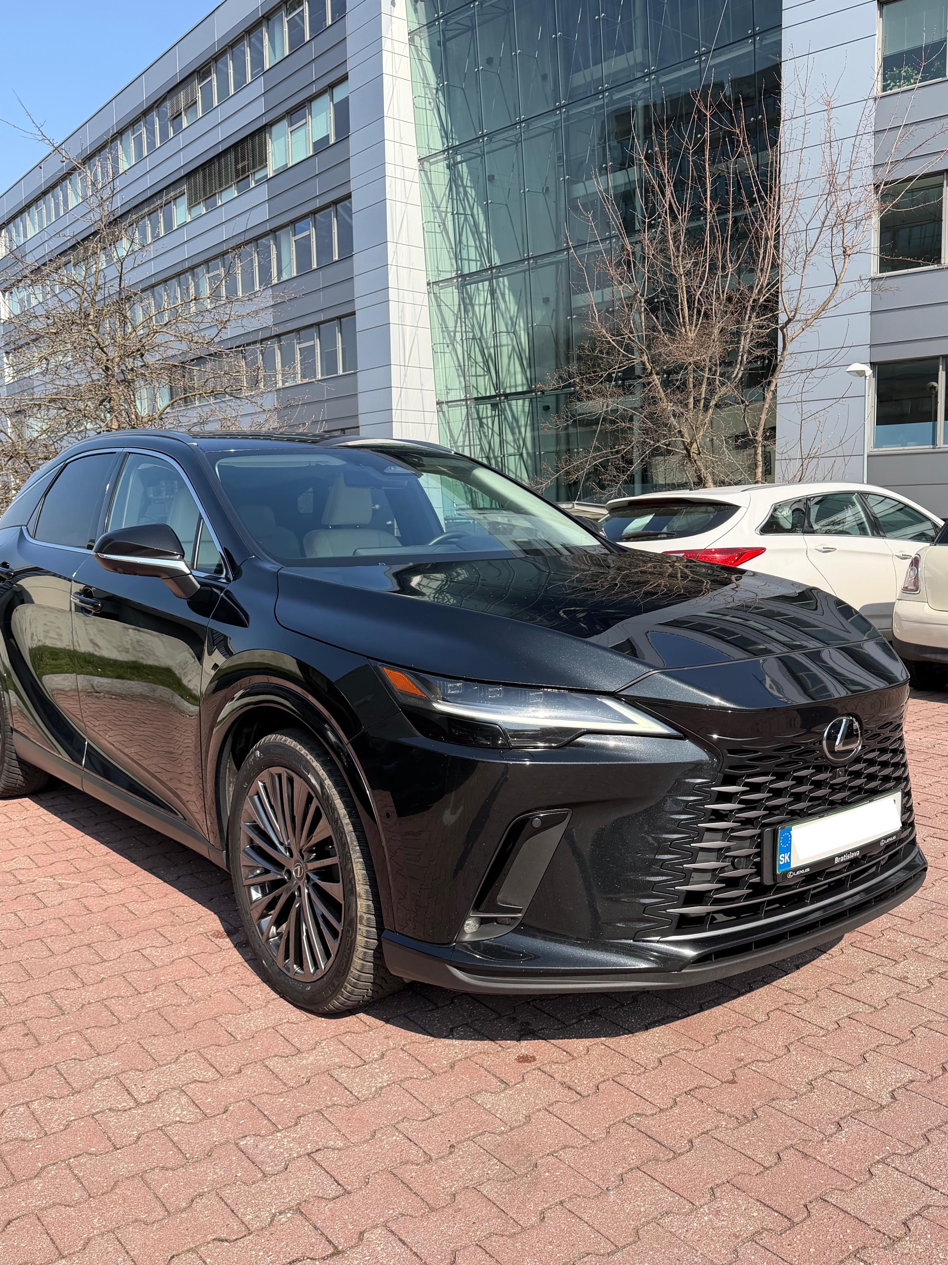 Lexus RX 450h+, 2,5 PHEV LUXURY - fotka 2