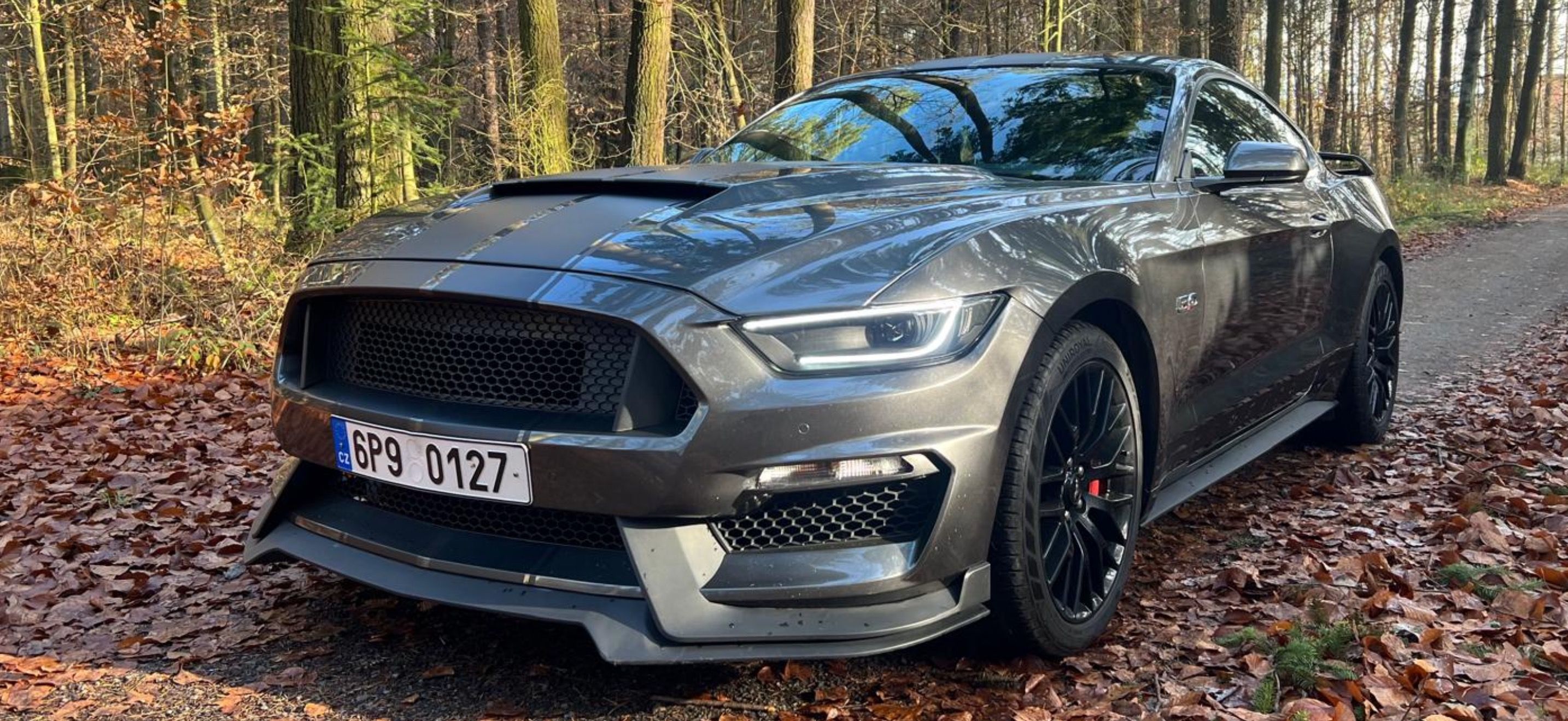 Ford Mustang, 5.0L GT Performance Pack Top!!