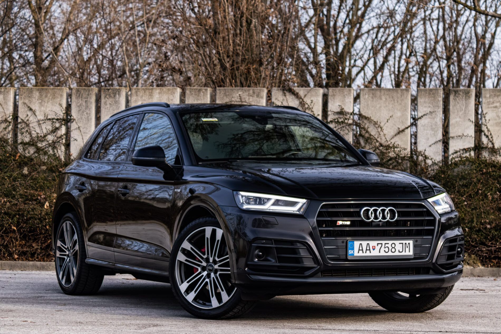 Audi SQ5 - fotka 4