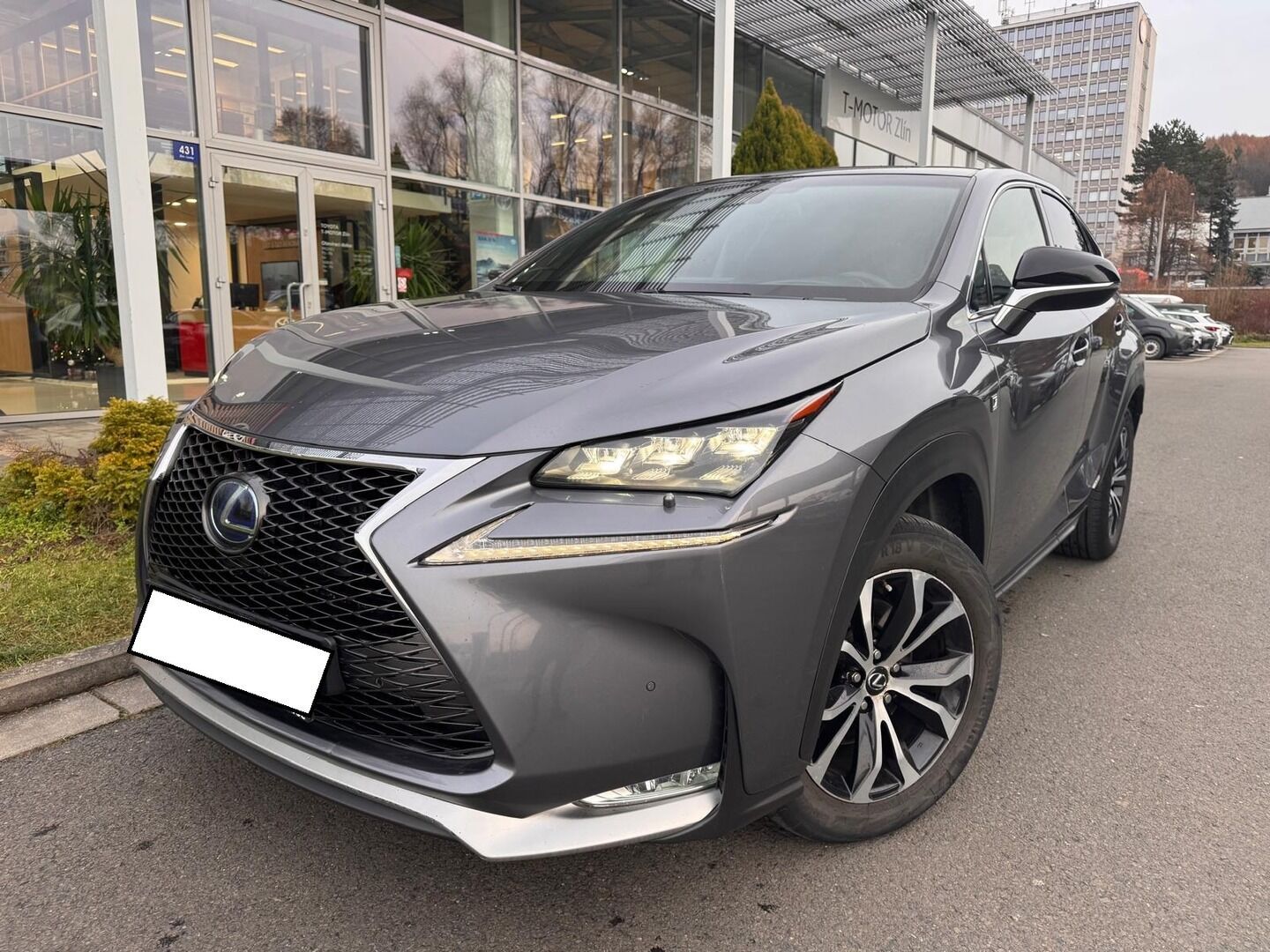 Lexus NX 300h, 300h - fotka 4
