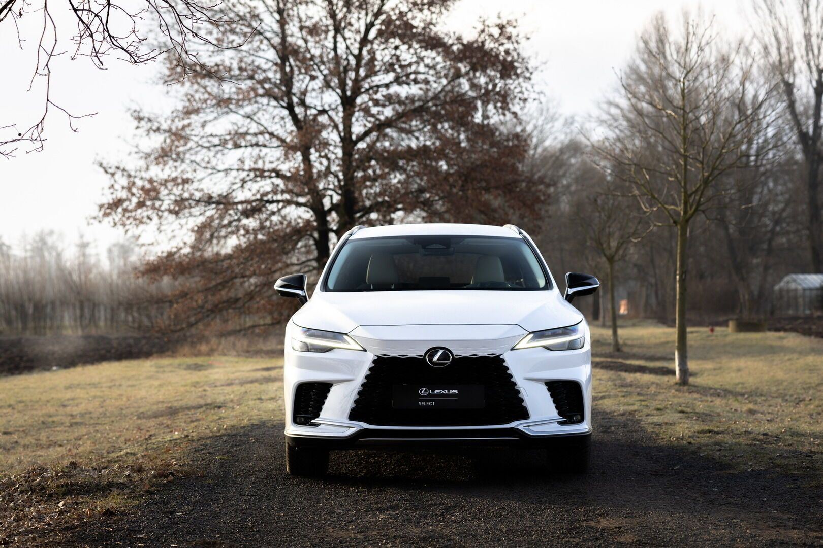 Lexus RX 450h+, 450h+ 2,5 PHEV F SPORT DESIGN - fotka 4