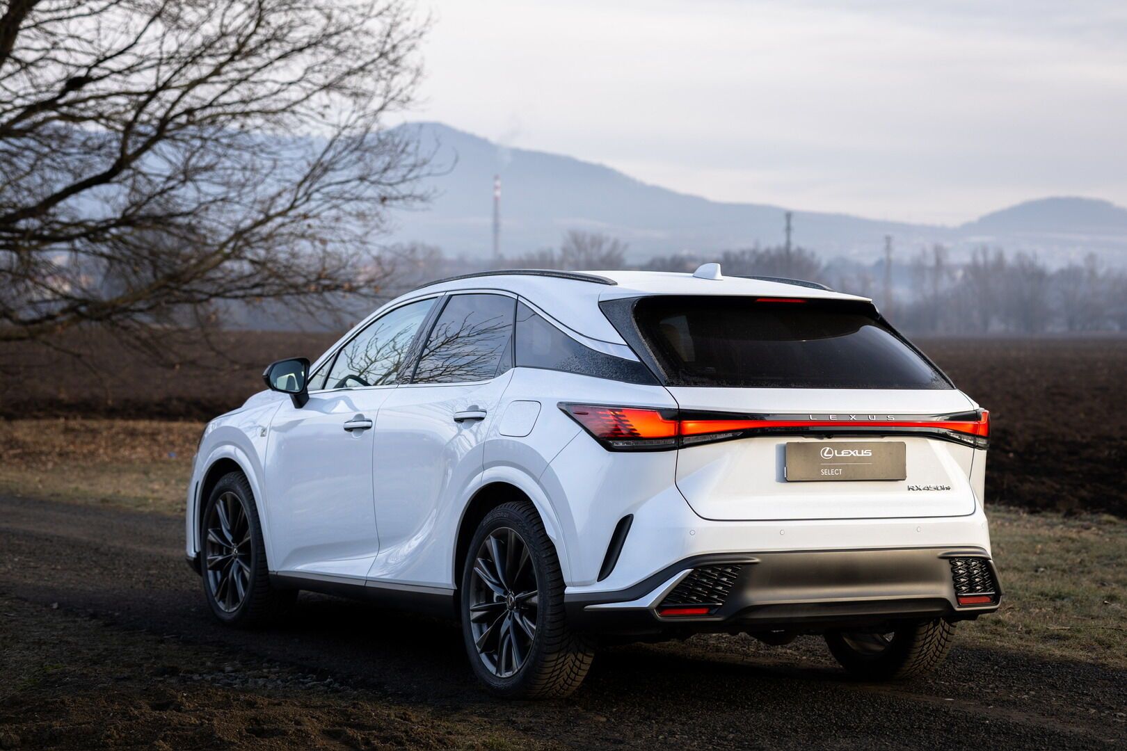Lexus RX 450h+, 450h+ 2,5 PHEV F SPORT DESIGN - fotka 6