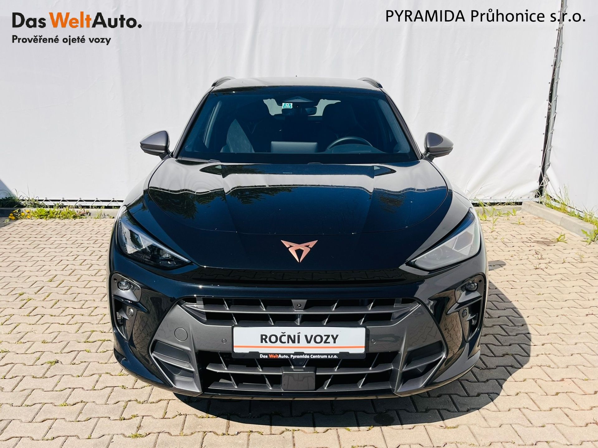 Cupra Terramar, VZ 2.0 TSI 195 kW DSG 4x4 - fotka 4