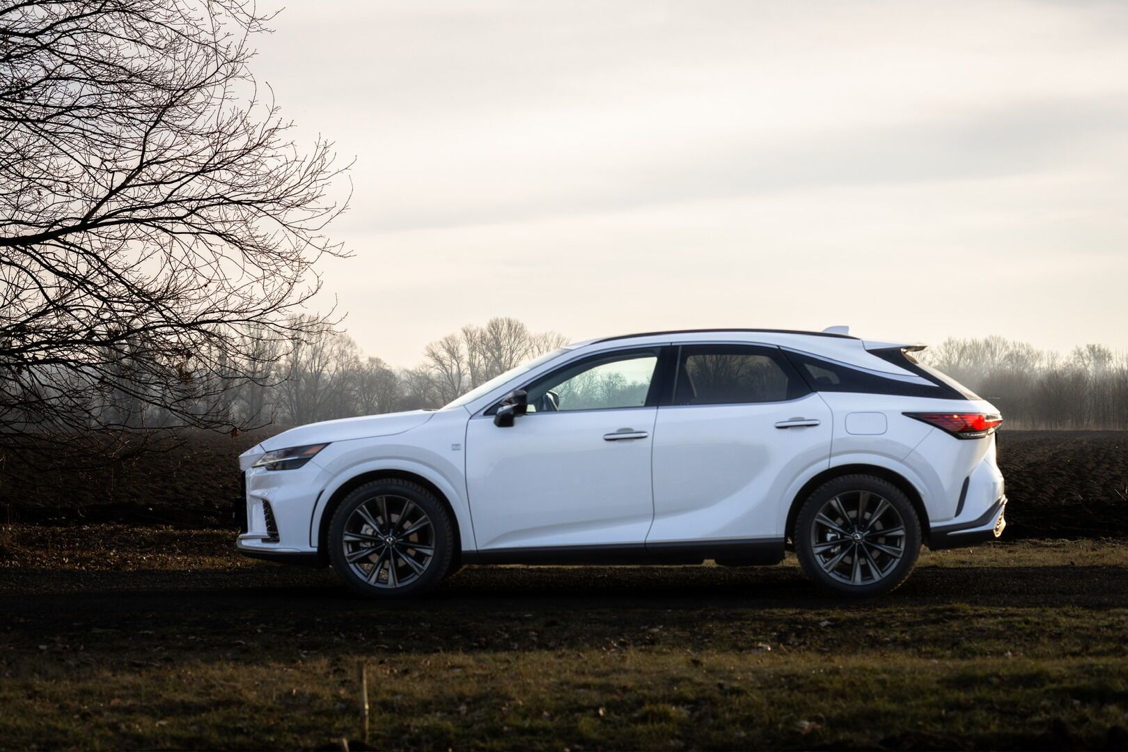 Lexus RX 450h+, 450h+ 2,5 PHEV F SPORT DESIGN - fotka 3