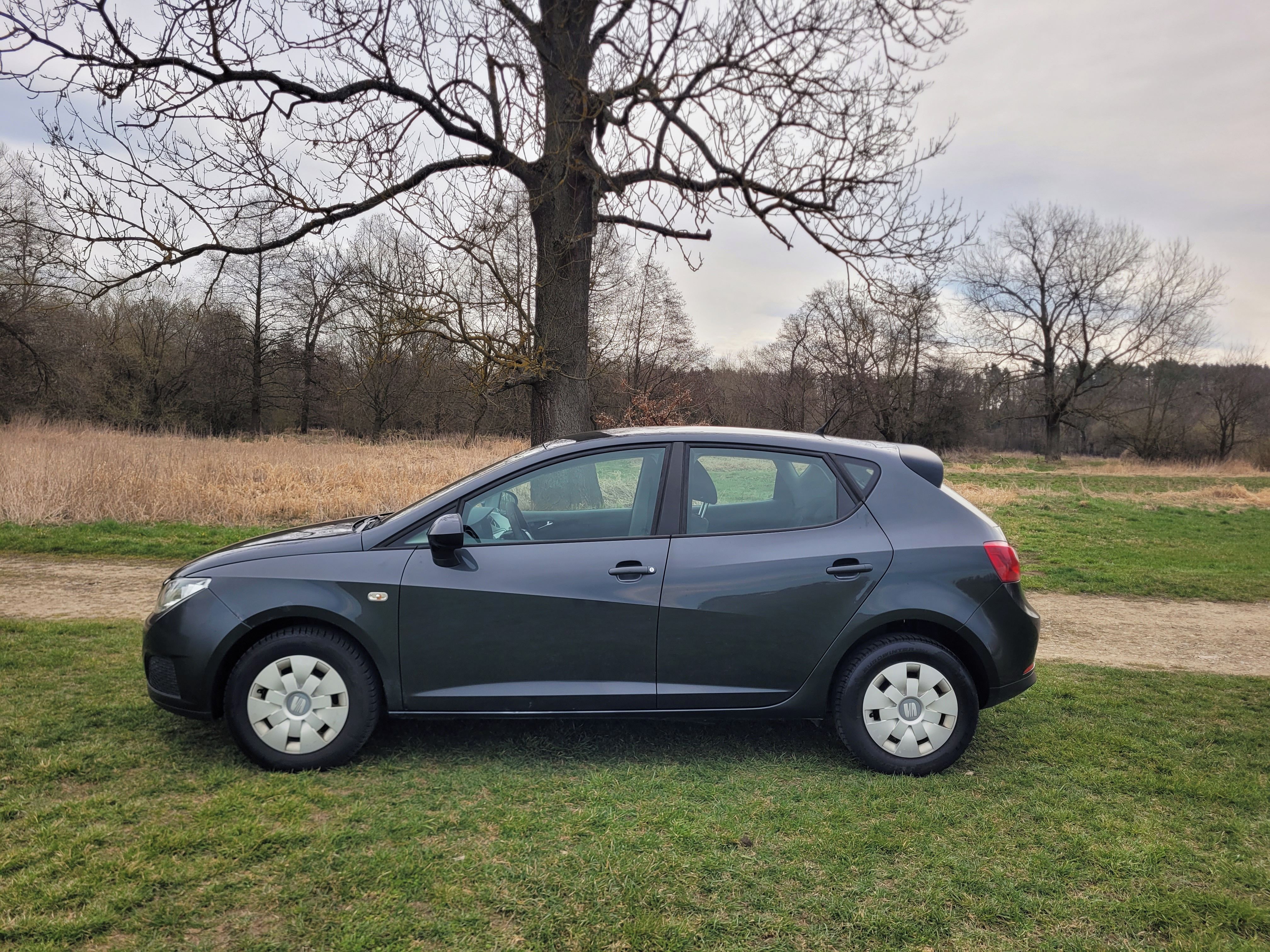 Seat Ibiza - fotka 2