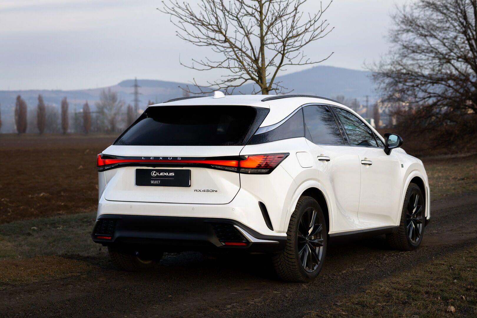 Lexus RX 450h+, 450h+ 2,5 PHEV F SPORT DESIGN - fotka 2