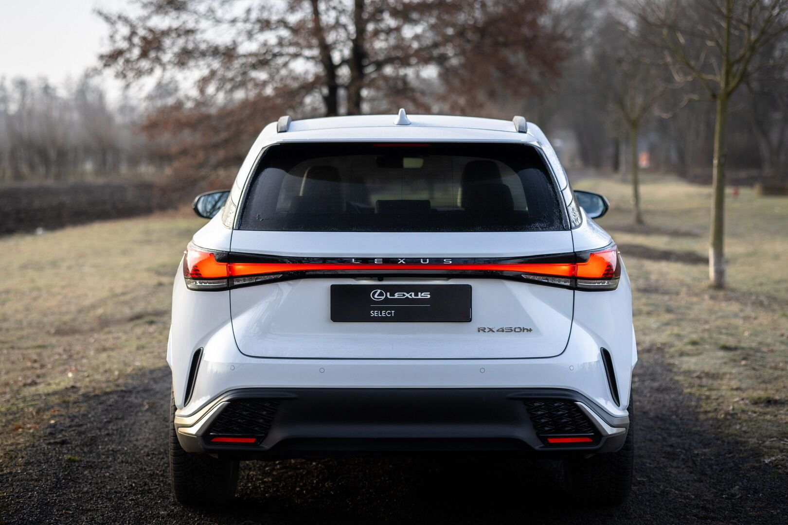 Lexus RX 450h+, 450h+ 2,5 PHEV F SPORT DESIGN - fotka 5