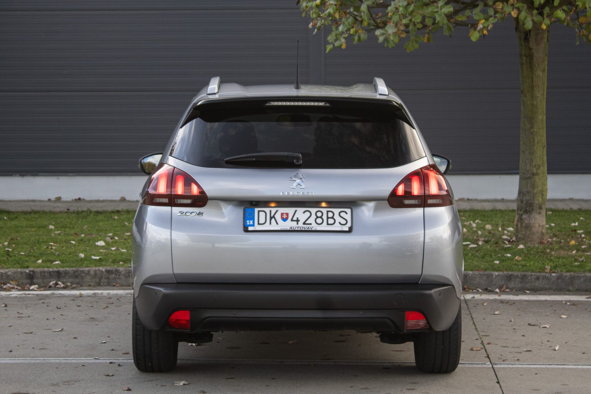 Peugeot 2008 - fotka 6