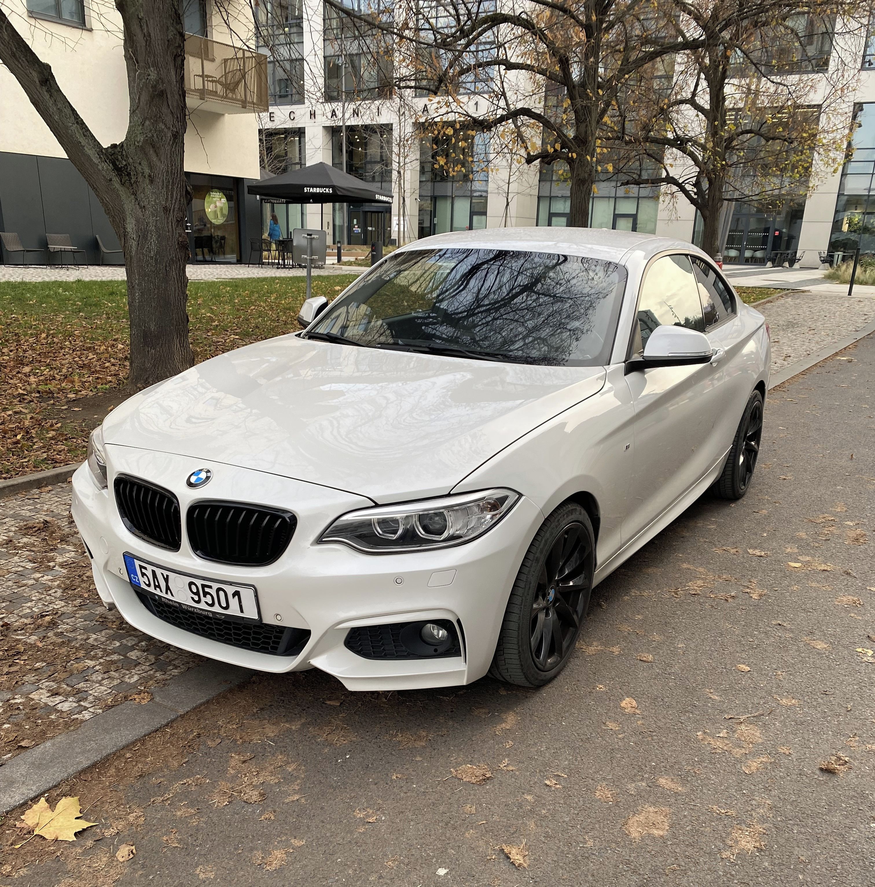 BMW Řada 2, 220d M sport, kůže, automat
