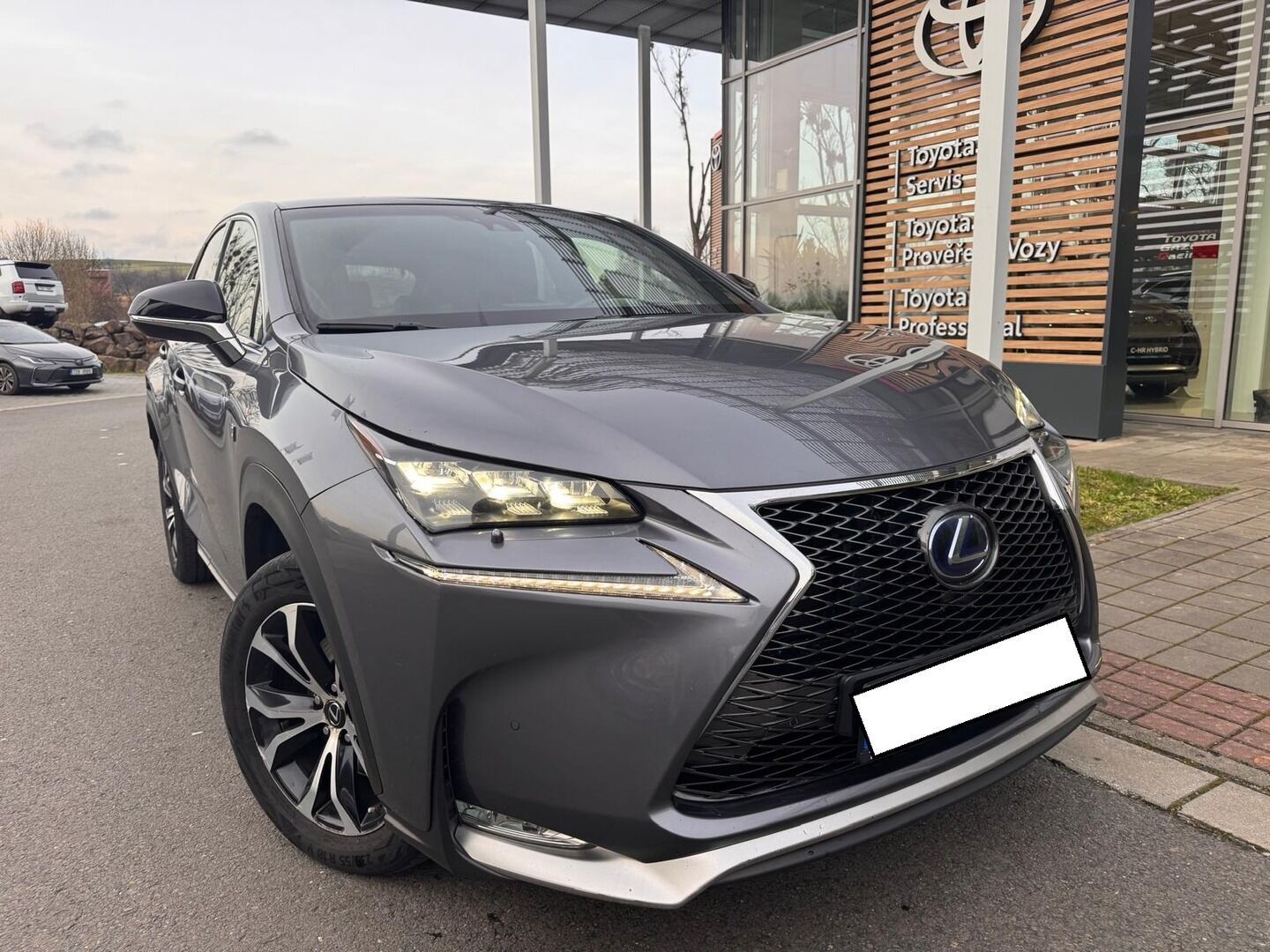 Lexus NX 300h, 300h