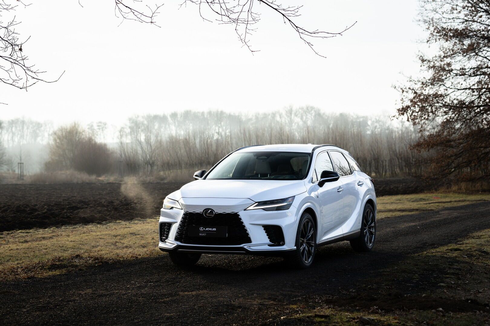 Lexus RX 450h+, 450h+ 2,5 PHEV F SPORT DESIGN