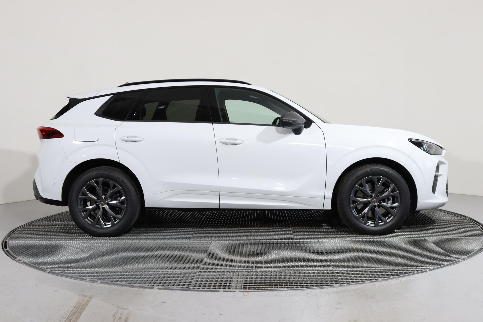 Cupra Terramar, 2.0 TSI 204k DSG 4WD/ EL.TAŽNÉ - fotka 3