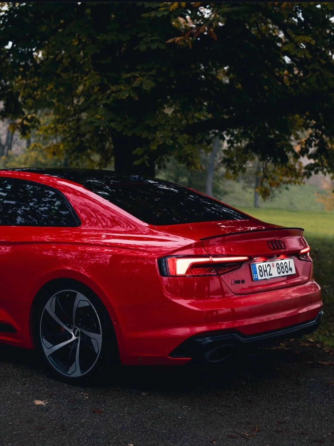 Audi RS5, Audi RS5,  2.9 TFSI V6 B&O - fotka 5