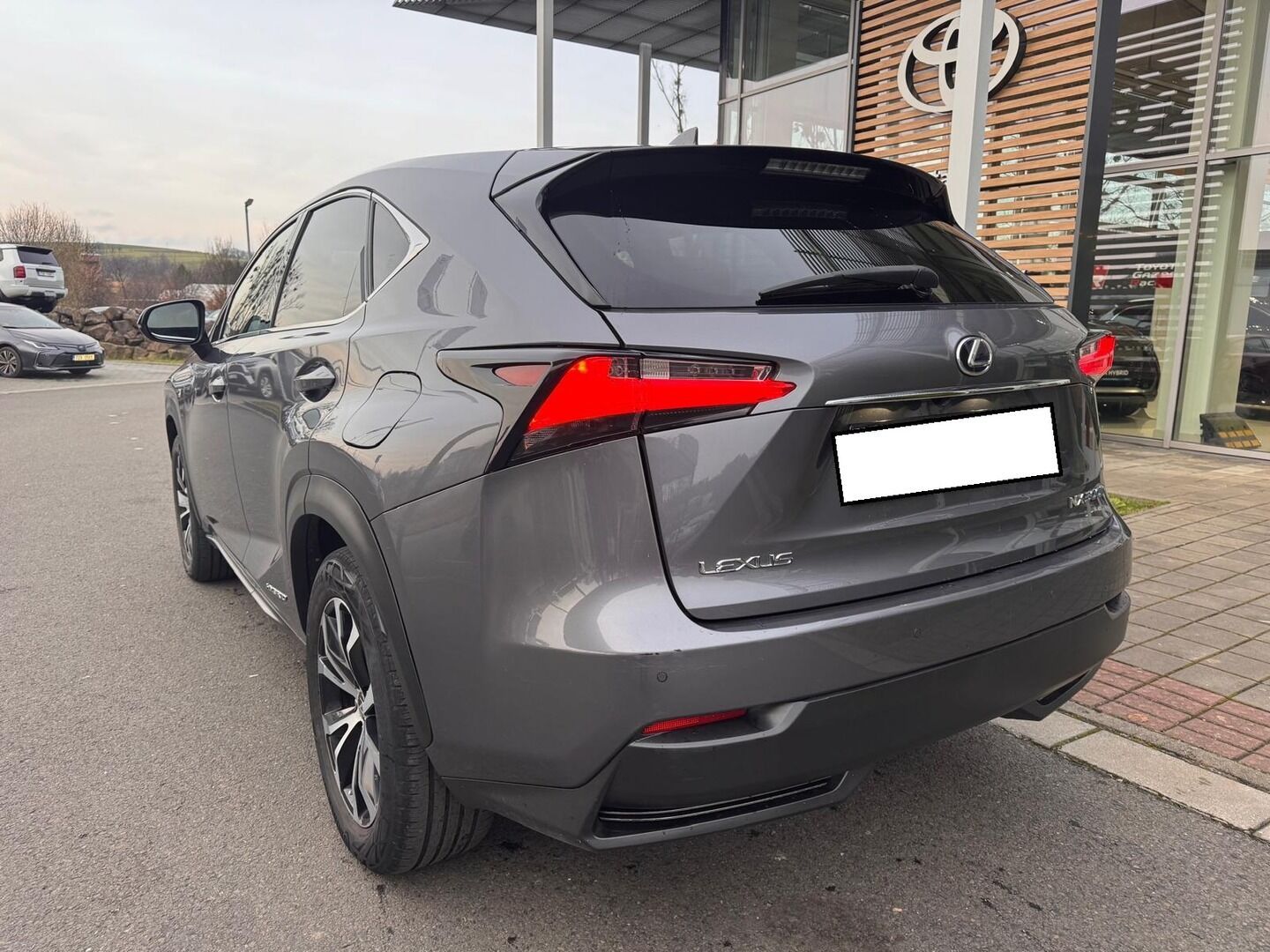 Lexus NX 300h, 300h - fotka 6