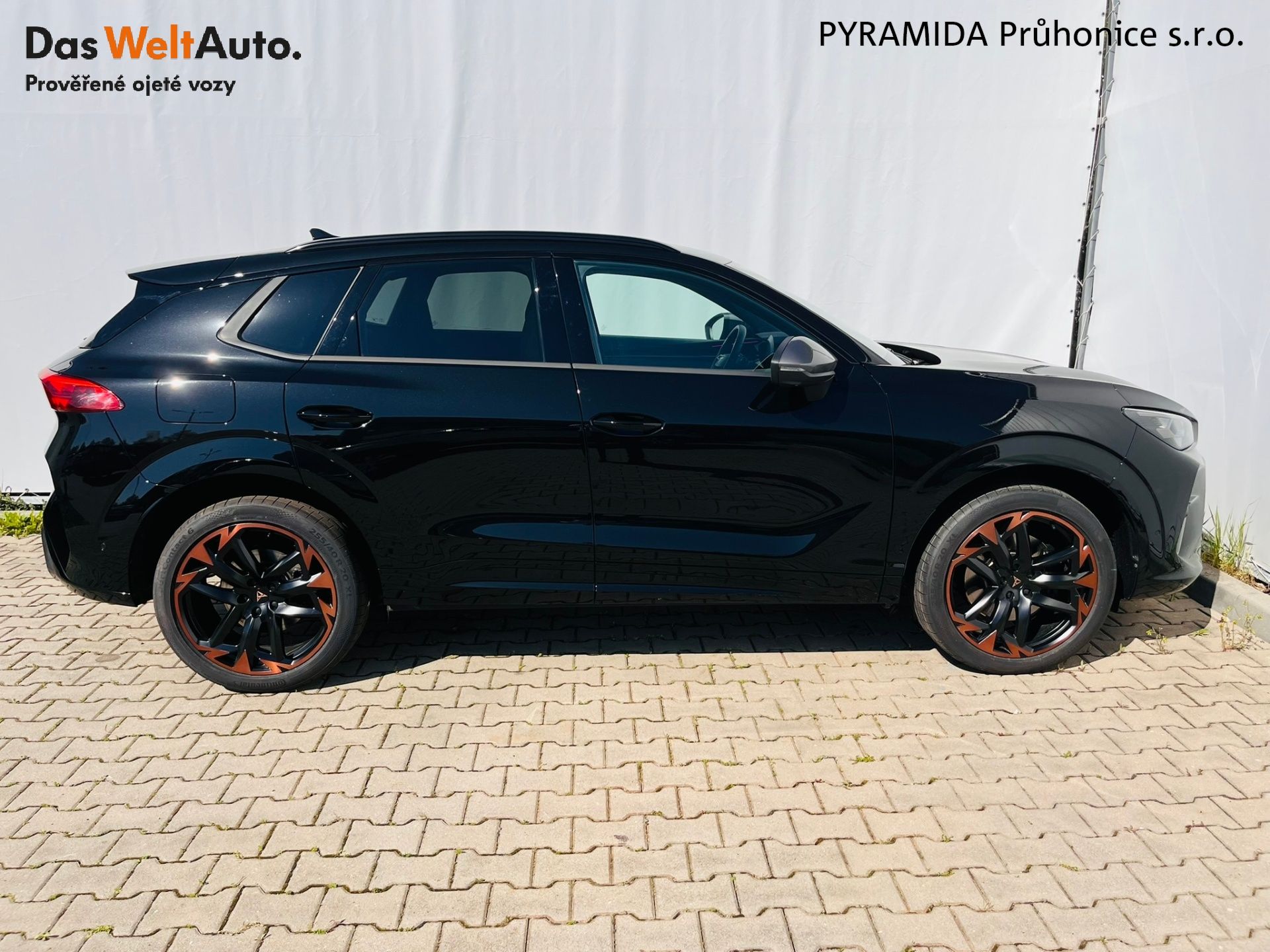 Cupra Terramar, VZ 2.0 TSI 195 kW DSG 4x4 - fotka 6