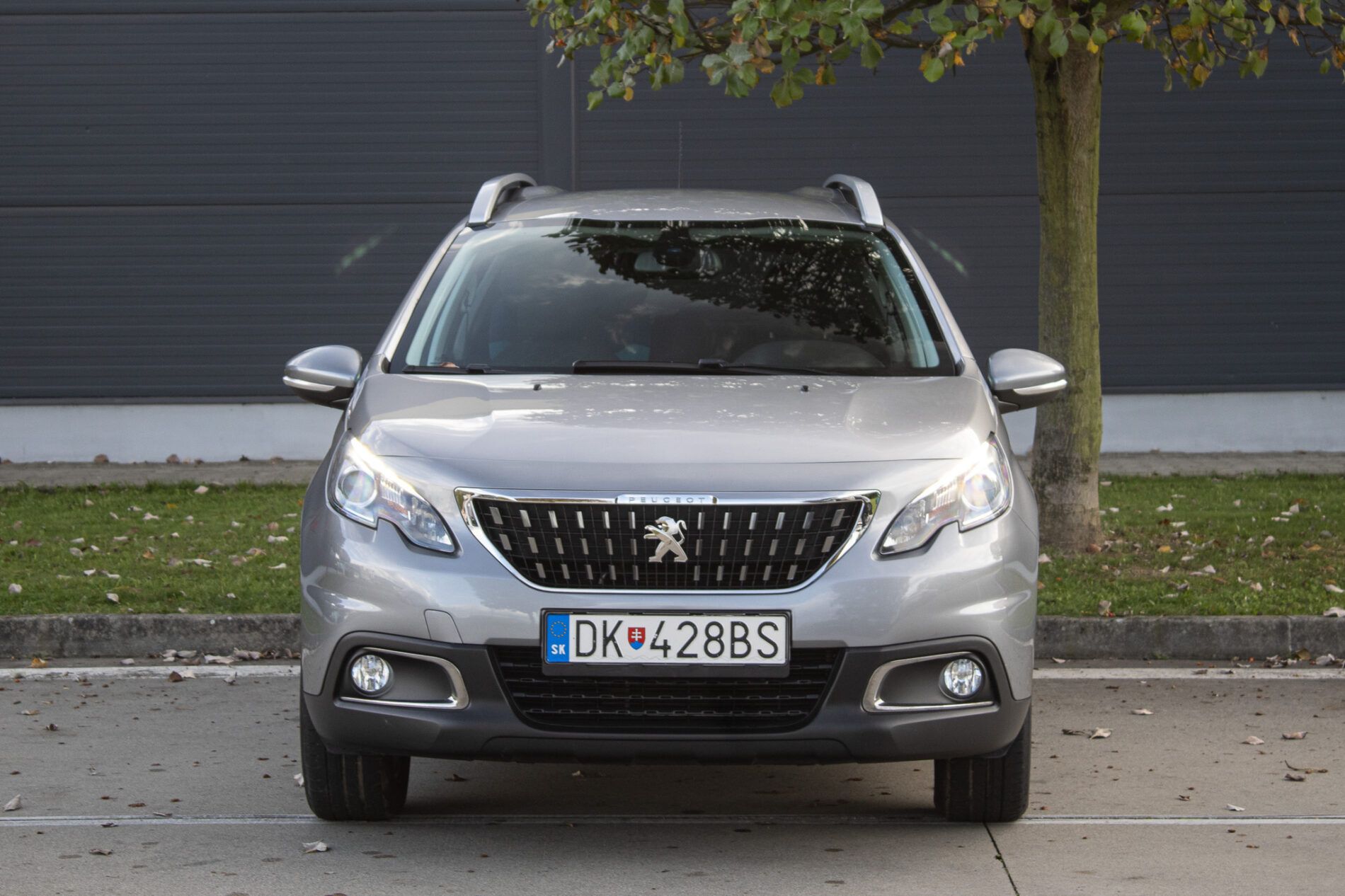Peugeot 2008 - fotka 2