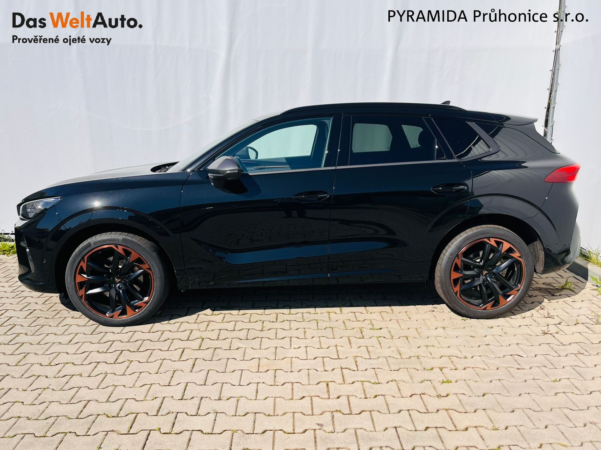 Cupra Terramar, VZ 2.0 TSI 195 kW DSG 4x4 - fotka 3