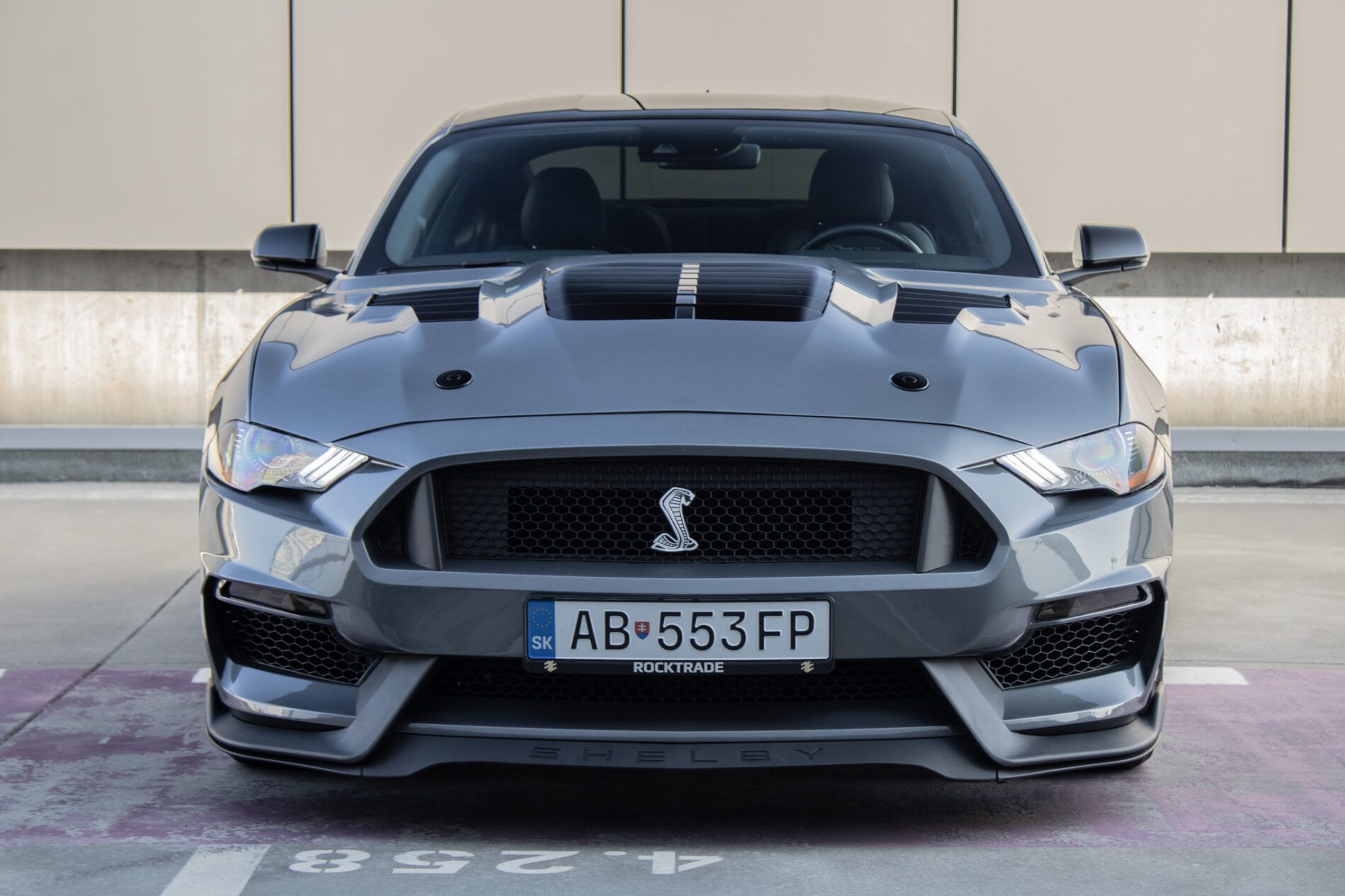 Ford Mustang - fotka 2