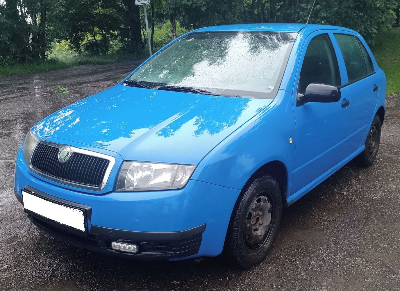 Škoda Fabia, Nová STK, GPS, Park.kamera