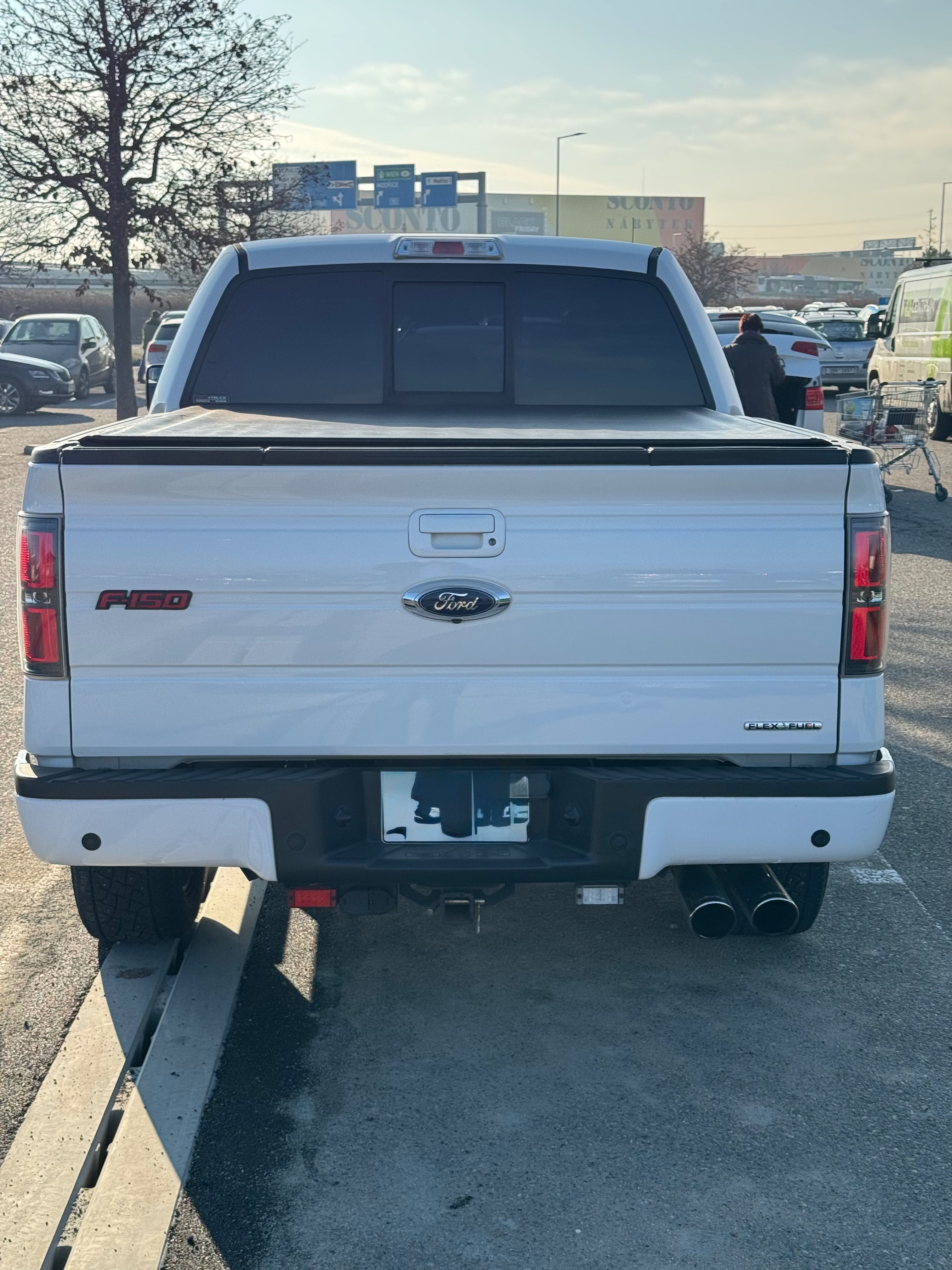 Ford F-150, FORD F150 FX 4 Flexfuel - fotka 4