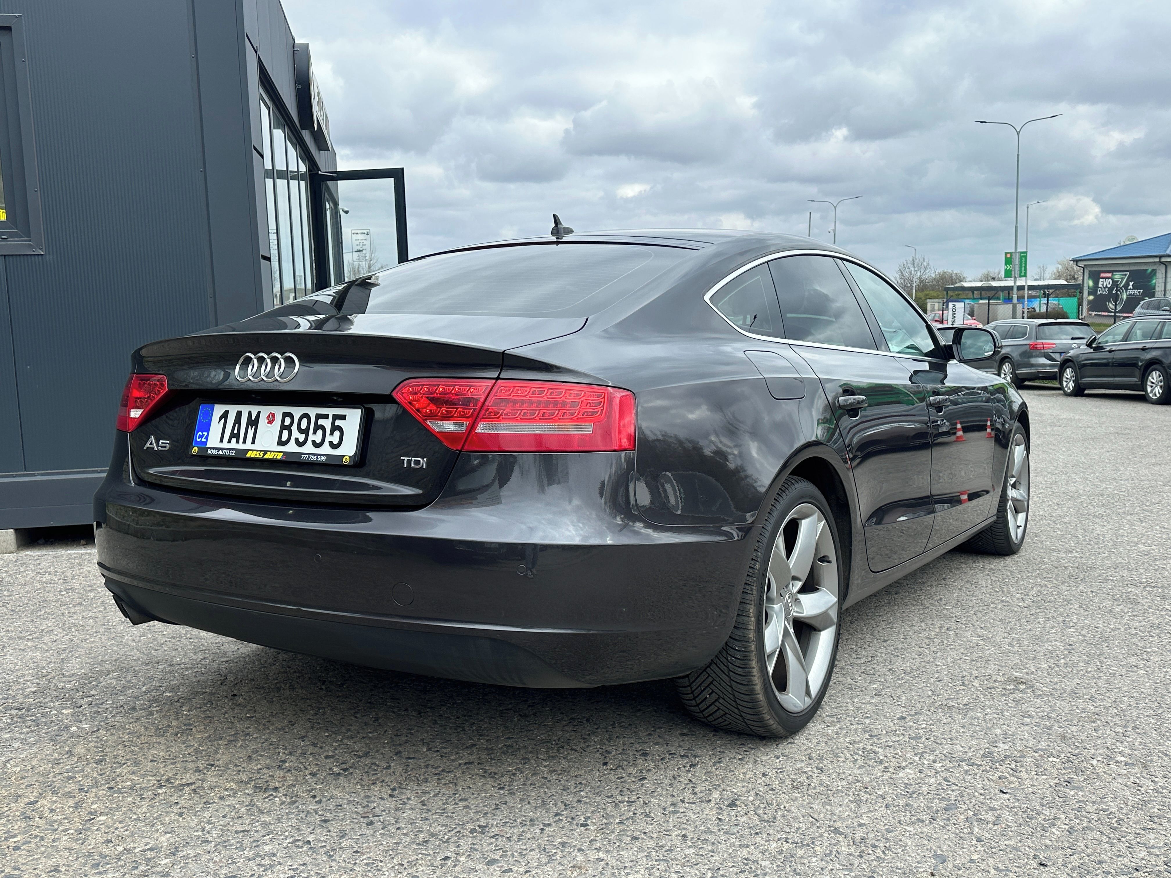 Audi A5, Audi A5 2011 - fotka 6