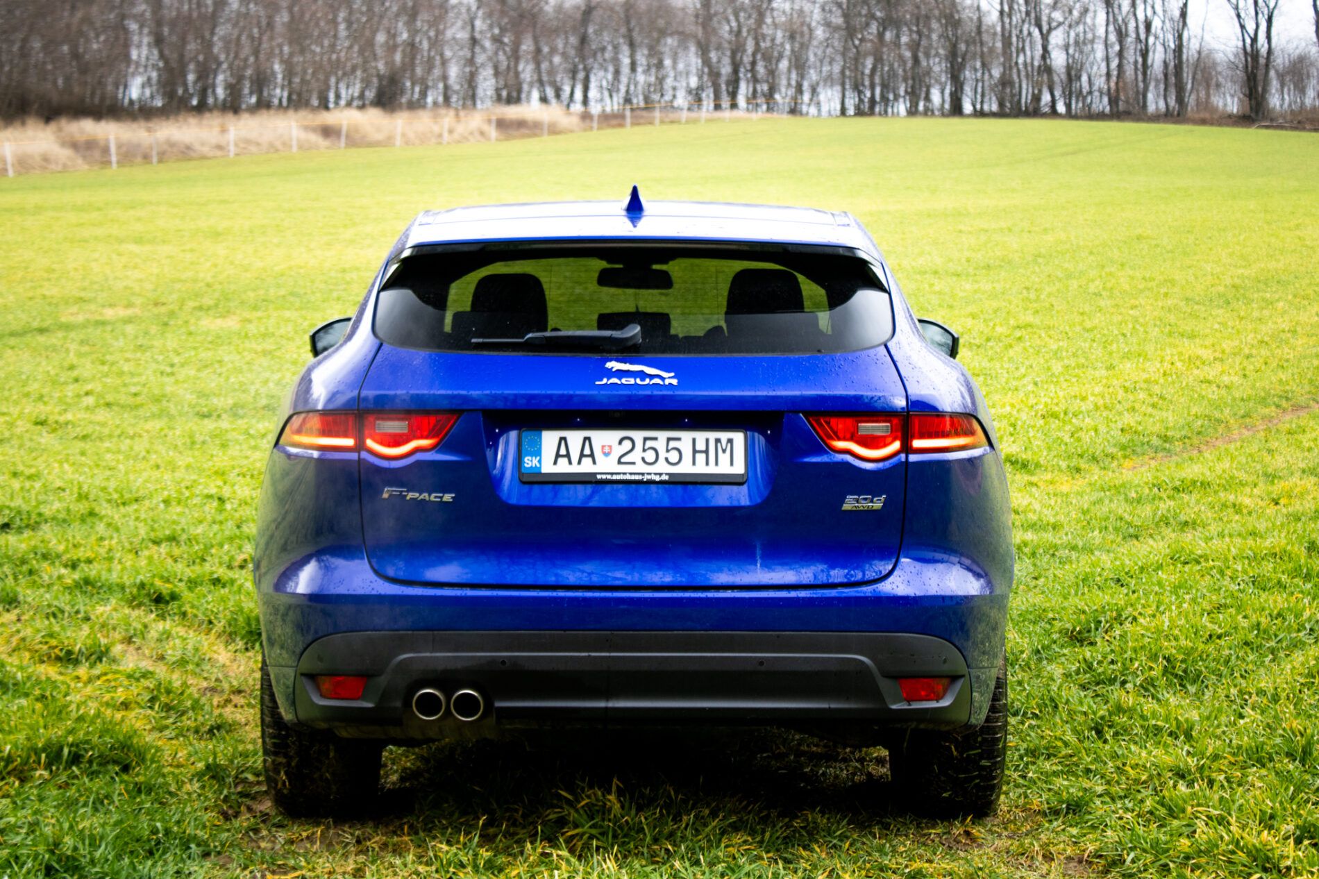 Jaguar F-Pace - fotka 6