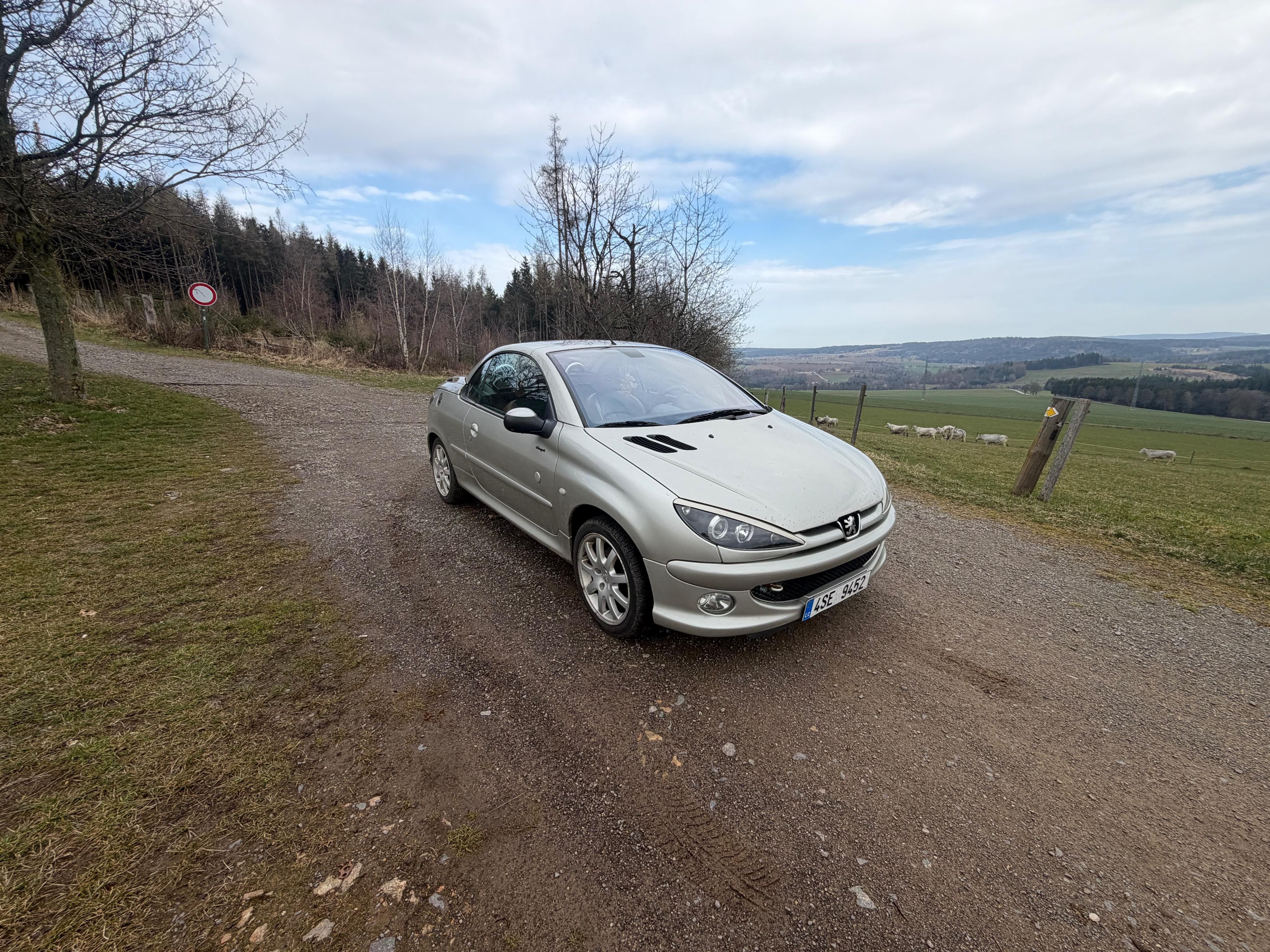 Peugeot 206 - fotka 2