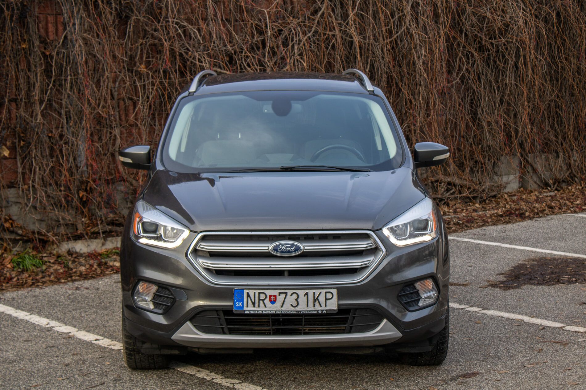 Ford Kuga - fotka 2