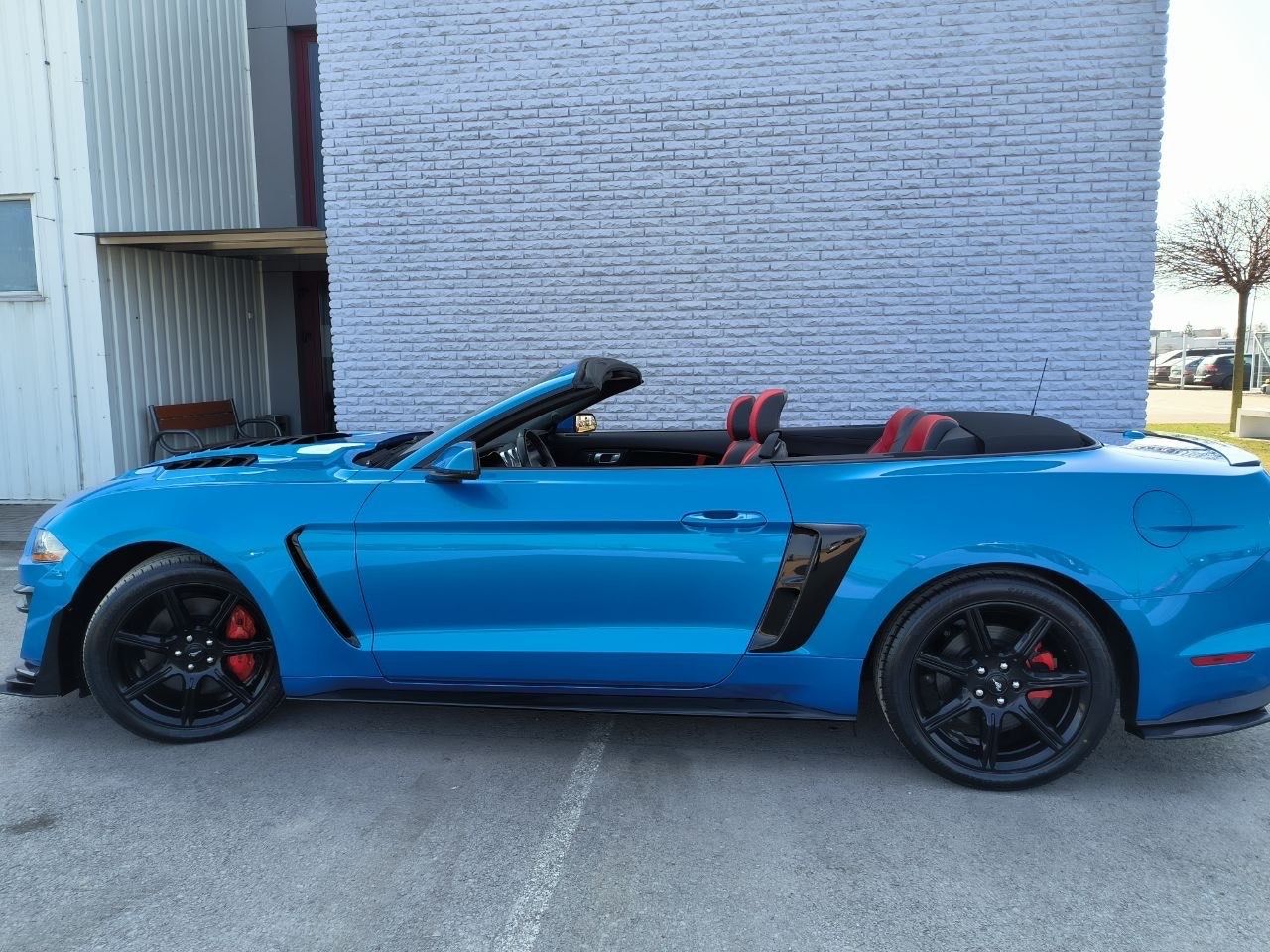 Ford Mustang, 5.0L Premium Plus Convertible - fotka 5