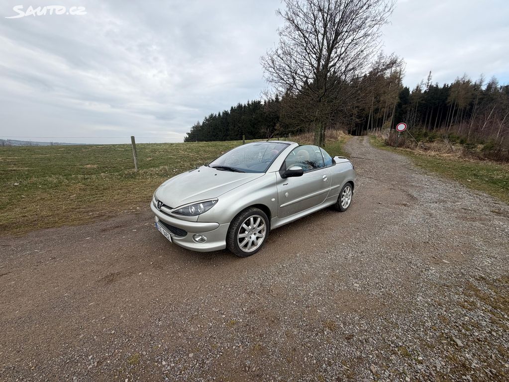 Peugeot 206 2004 от Чехия