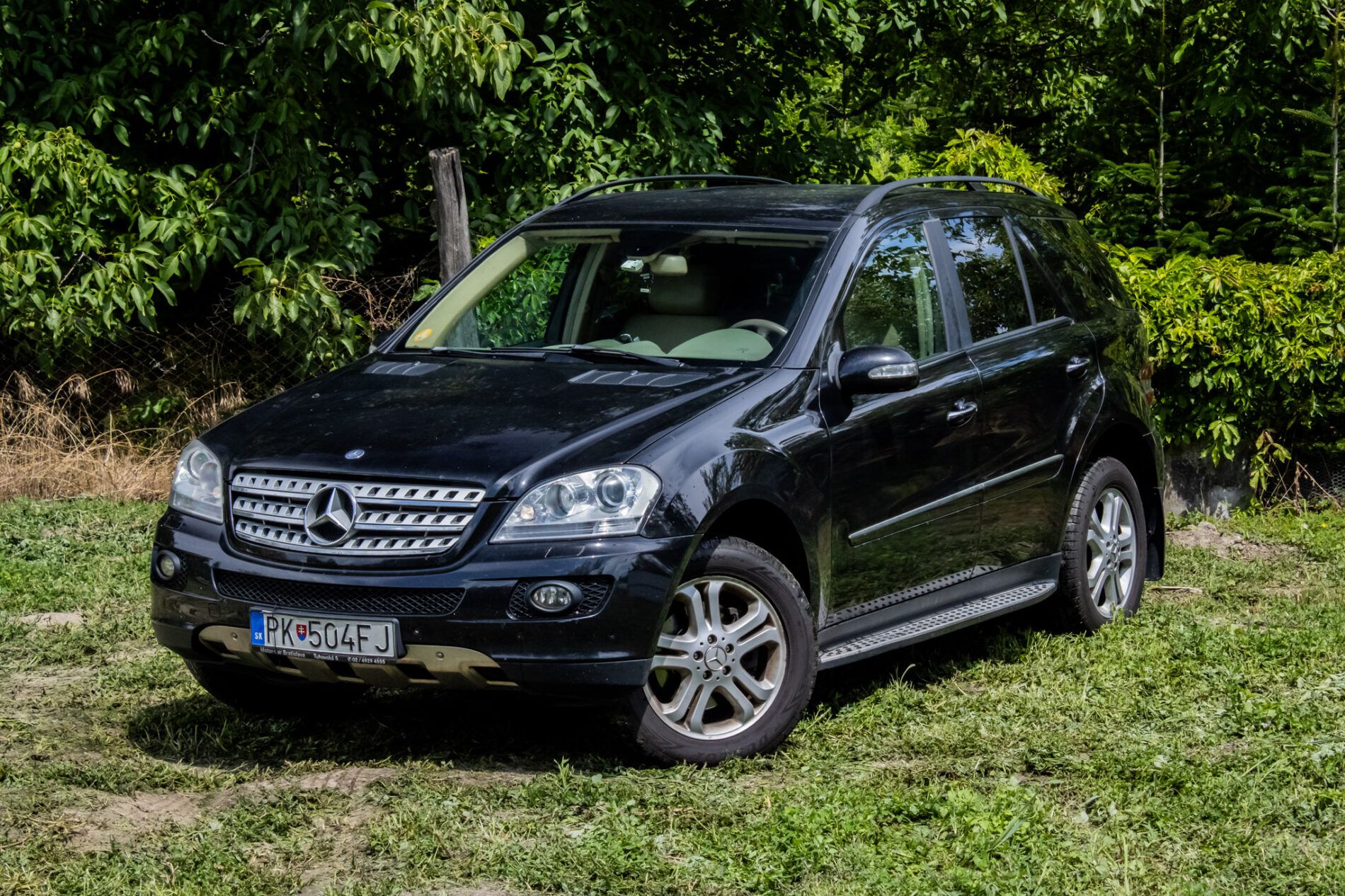 Mercedes-Benz, M trieda