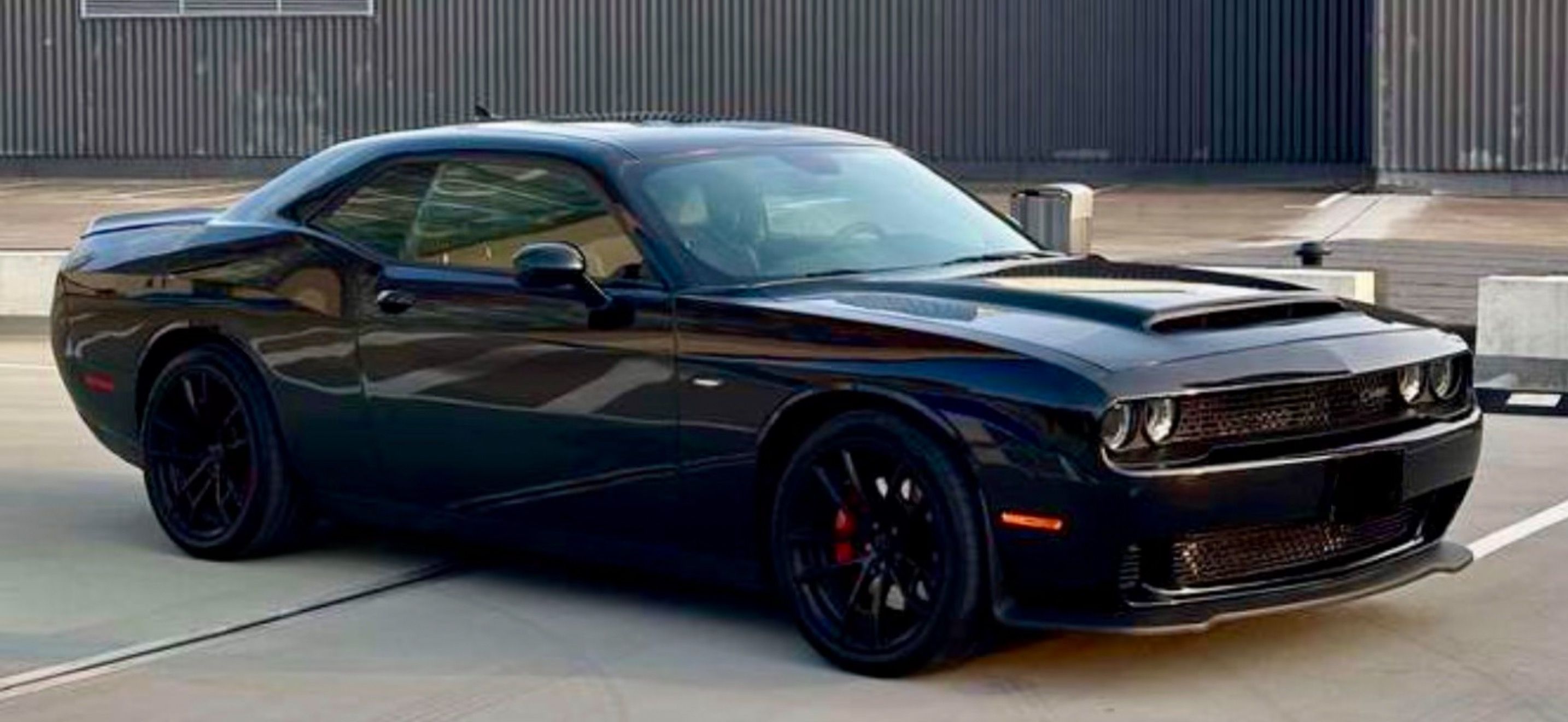 Dodge Challenger, 6.4L 1320 SuperBee (2457kusu) - fotka 3