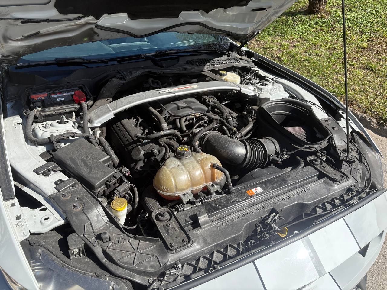 Ford Mustang, 5.2L GT350 Shelby,RECARO - fotka 5
