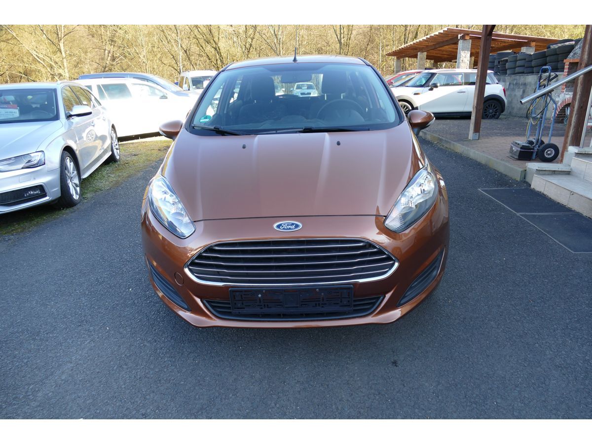 Ford Fiesta, 1,25i 44KW KLIMA - fotka 2