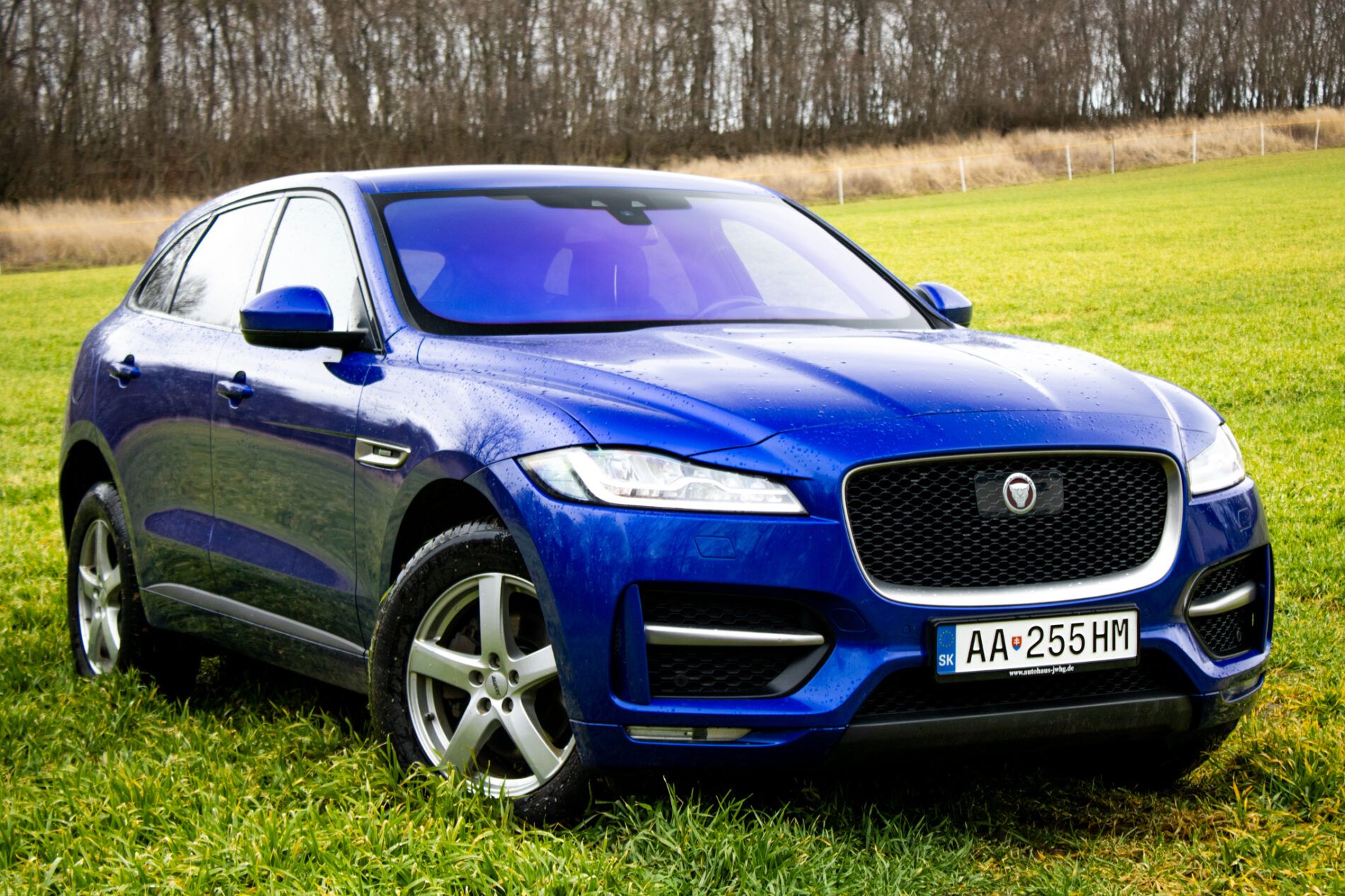 Jaguar F-Pace - fotka 4