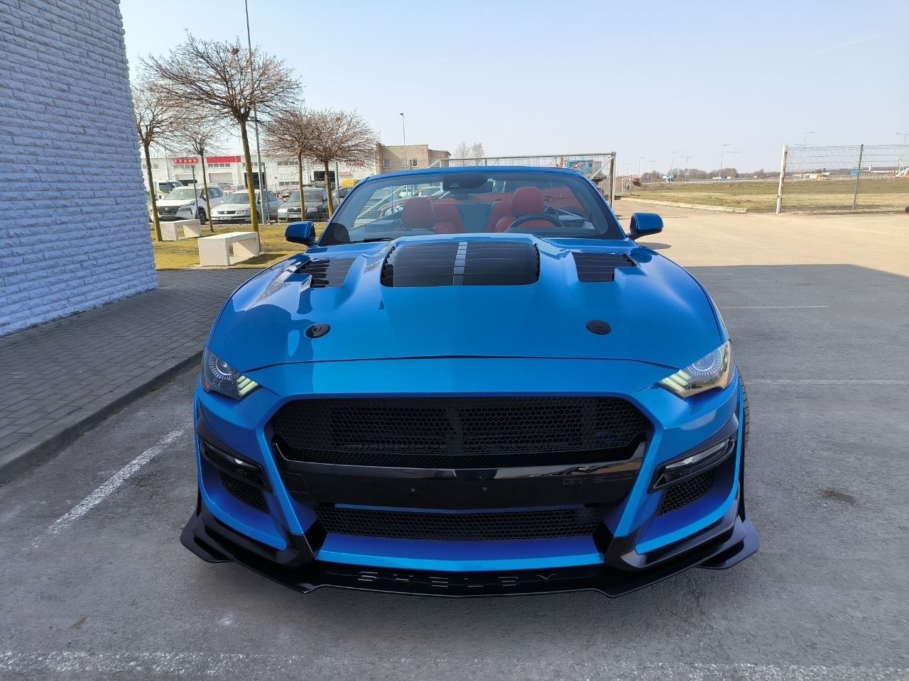 Ford Mustang, 5.0L Premium Plus Convertible - fotka 2