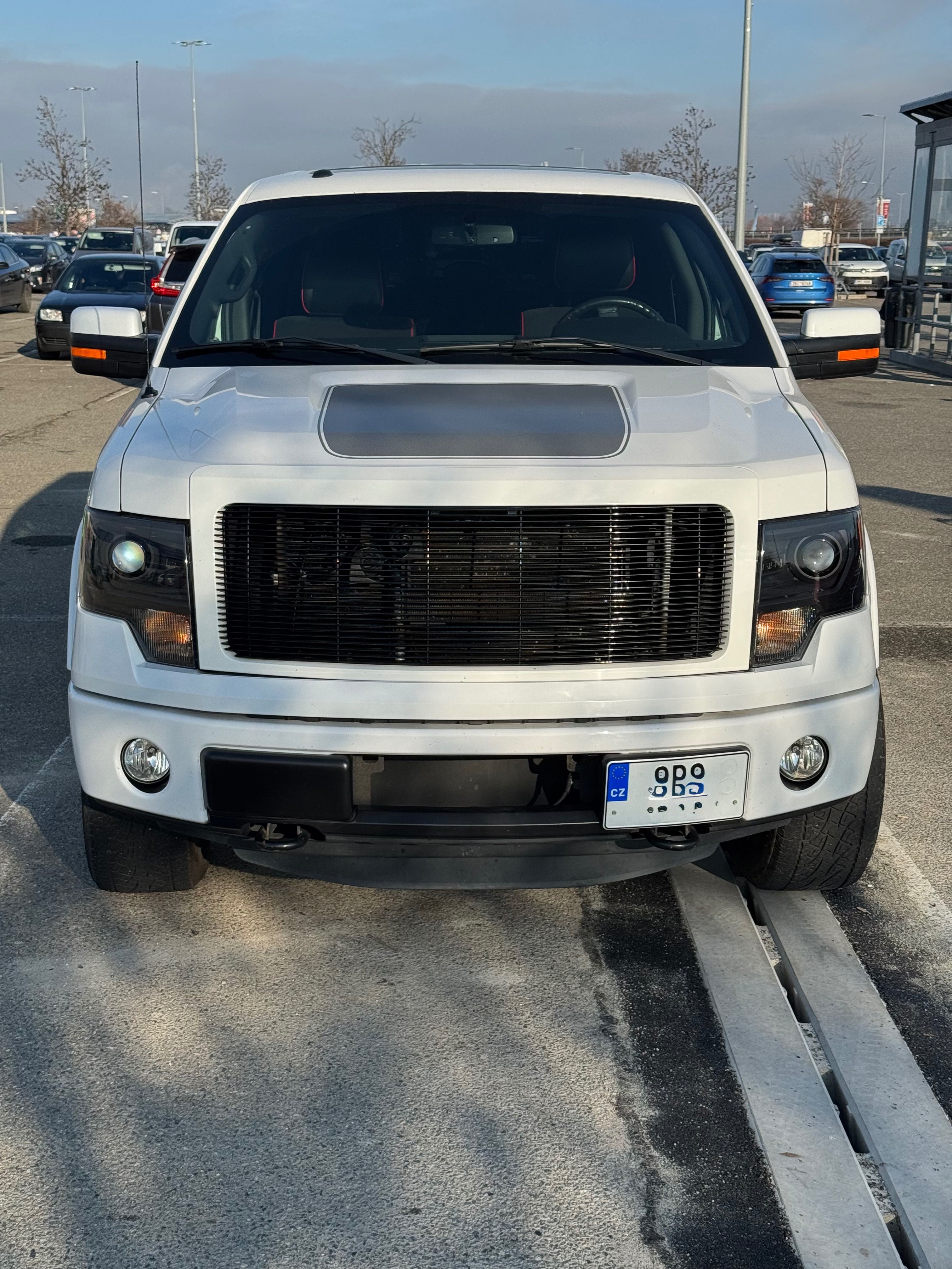 Ford F-150, FORD F150 FX 4 Flexfuel - fotka 2