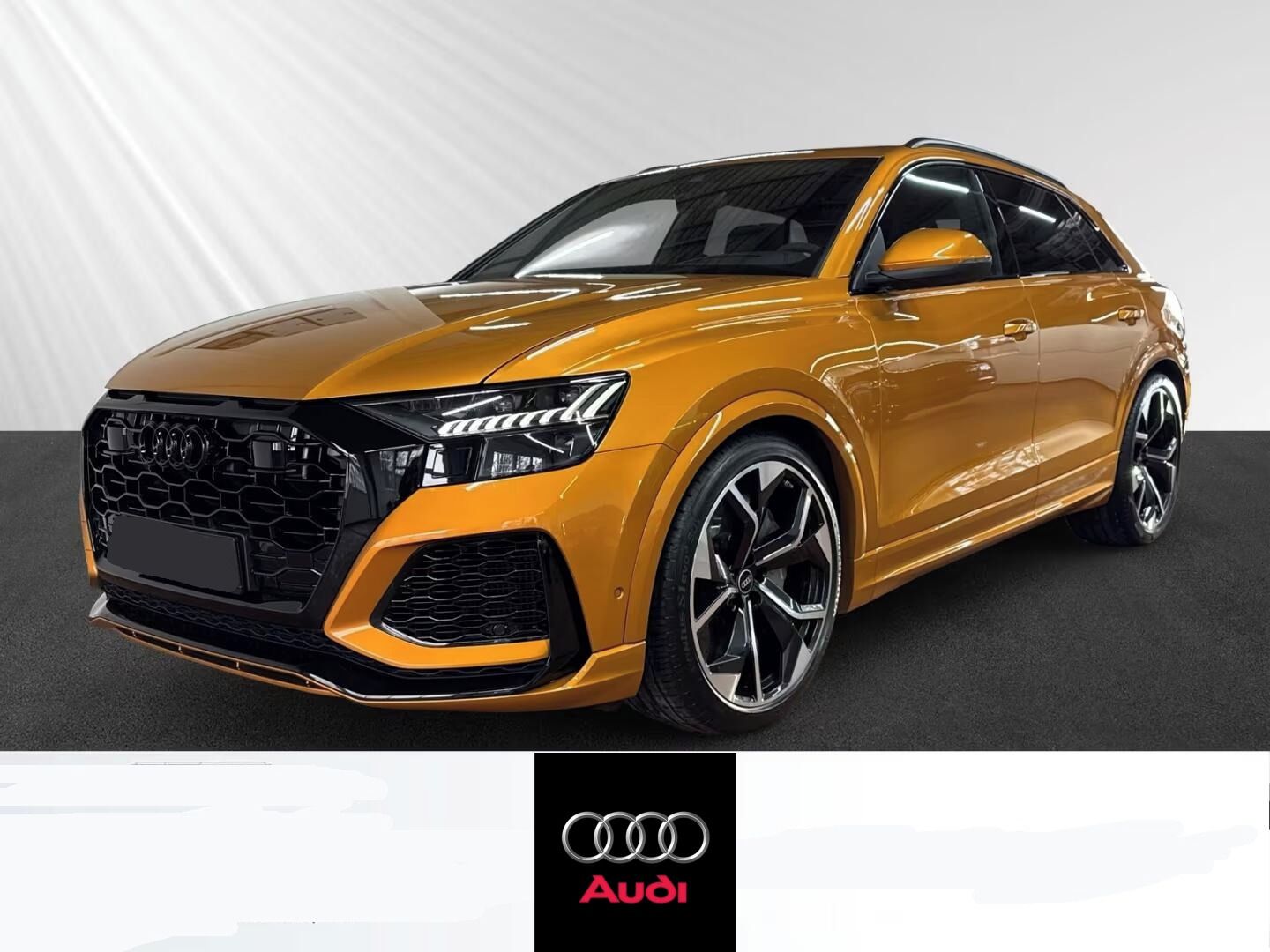 Audi RS Q8, 4.0 TFSI quattro*Kůže*Navi*DAB