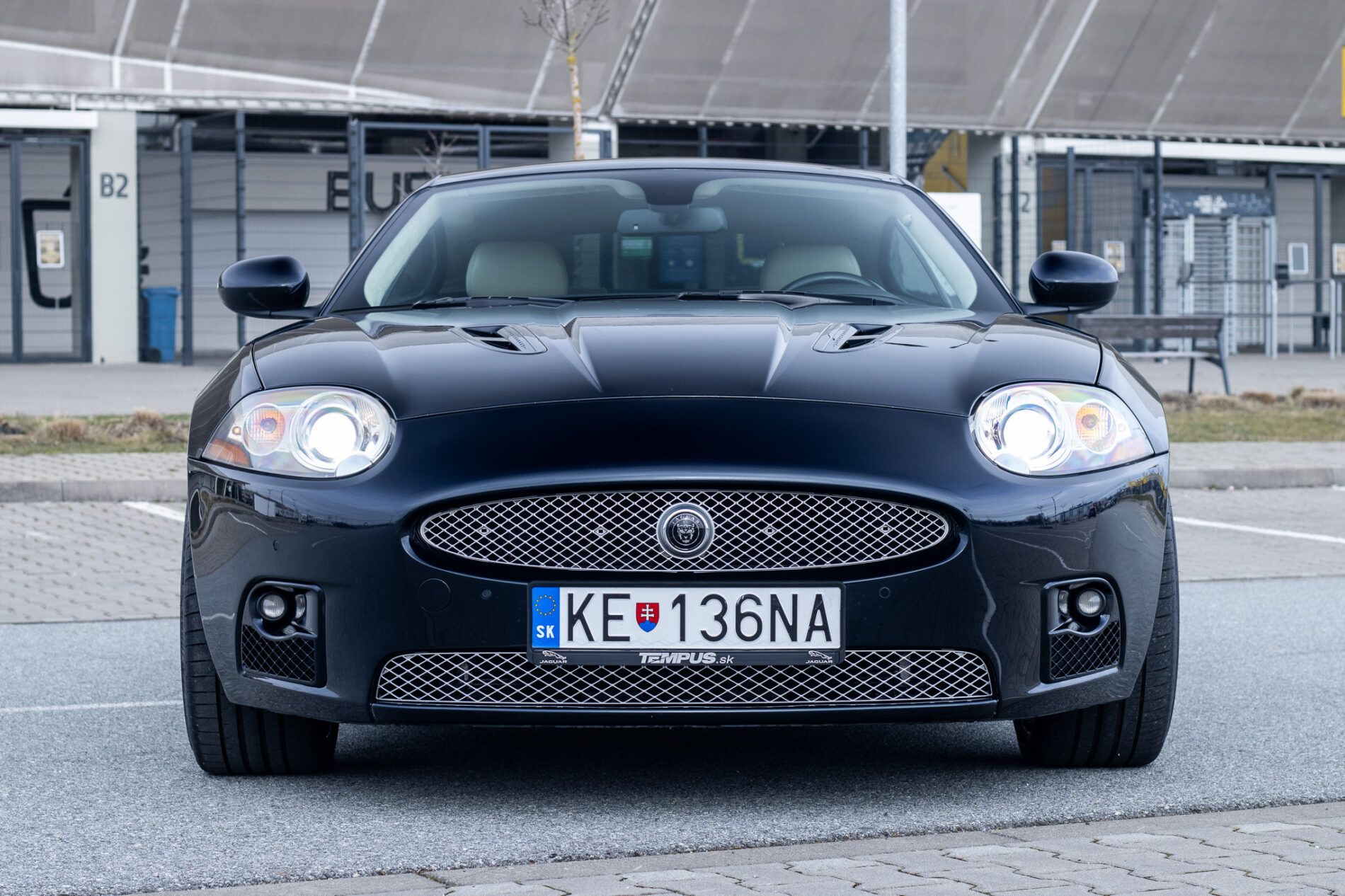 Jaguar XK - fotka 2