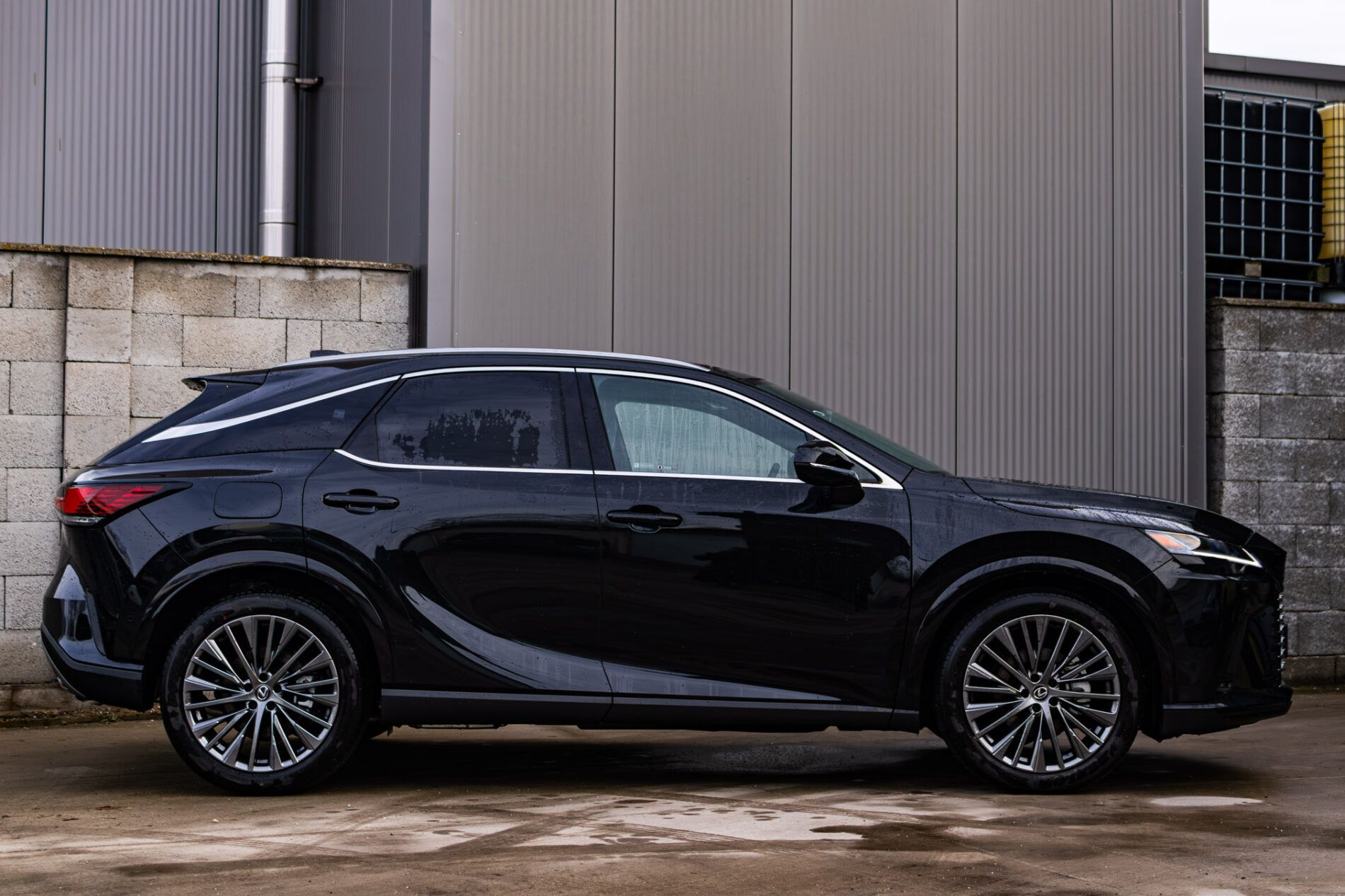 Lexus RX - fotka 5