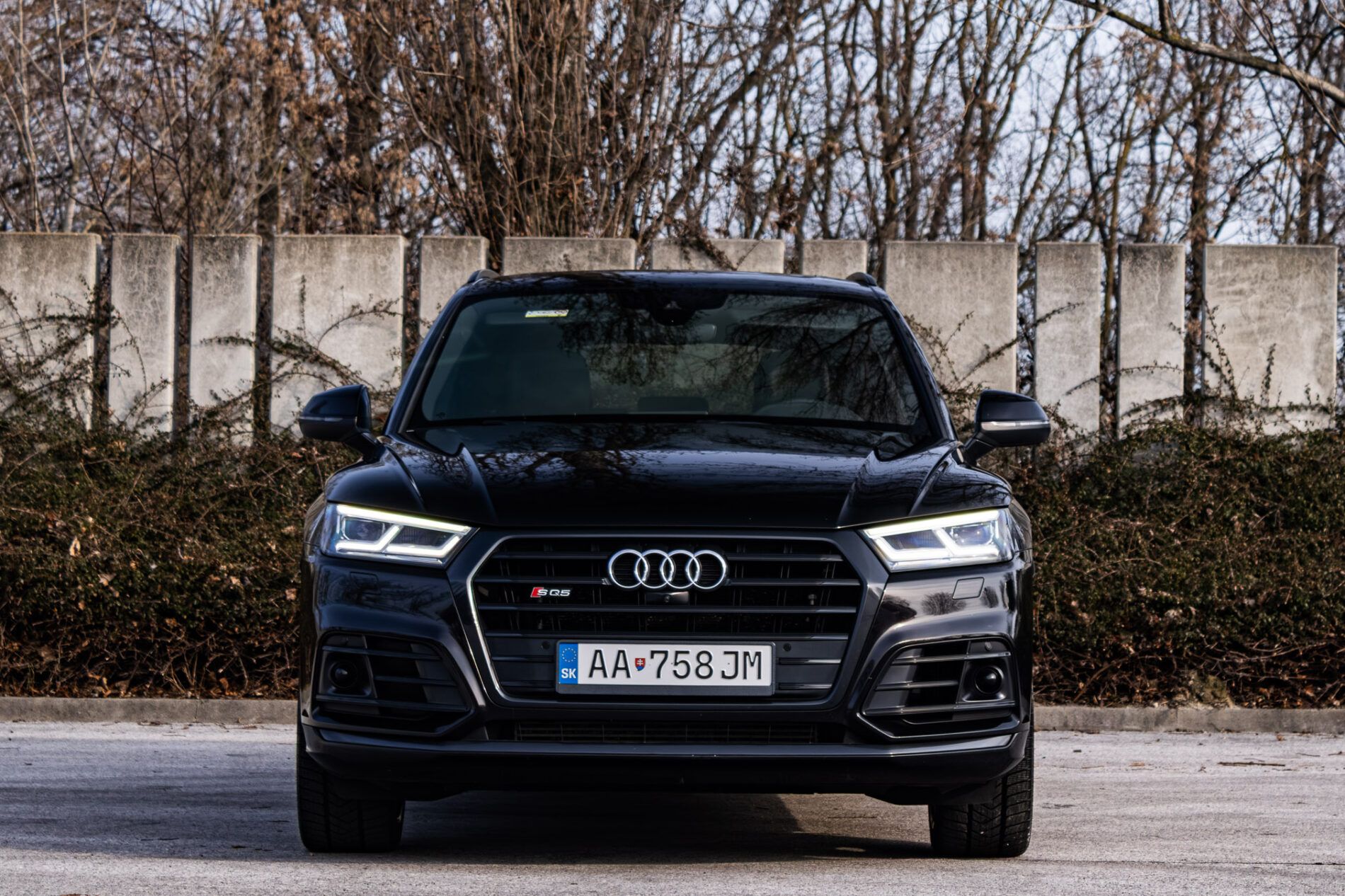 Audi SQ5 - fotka 3