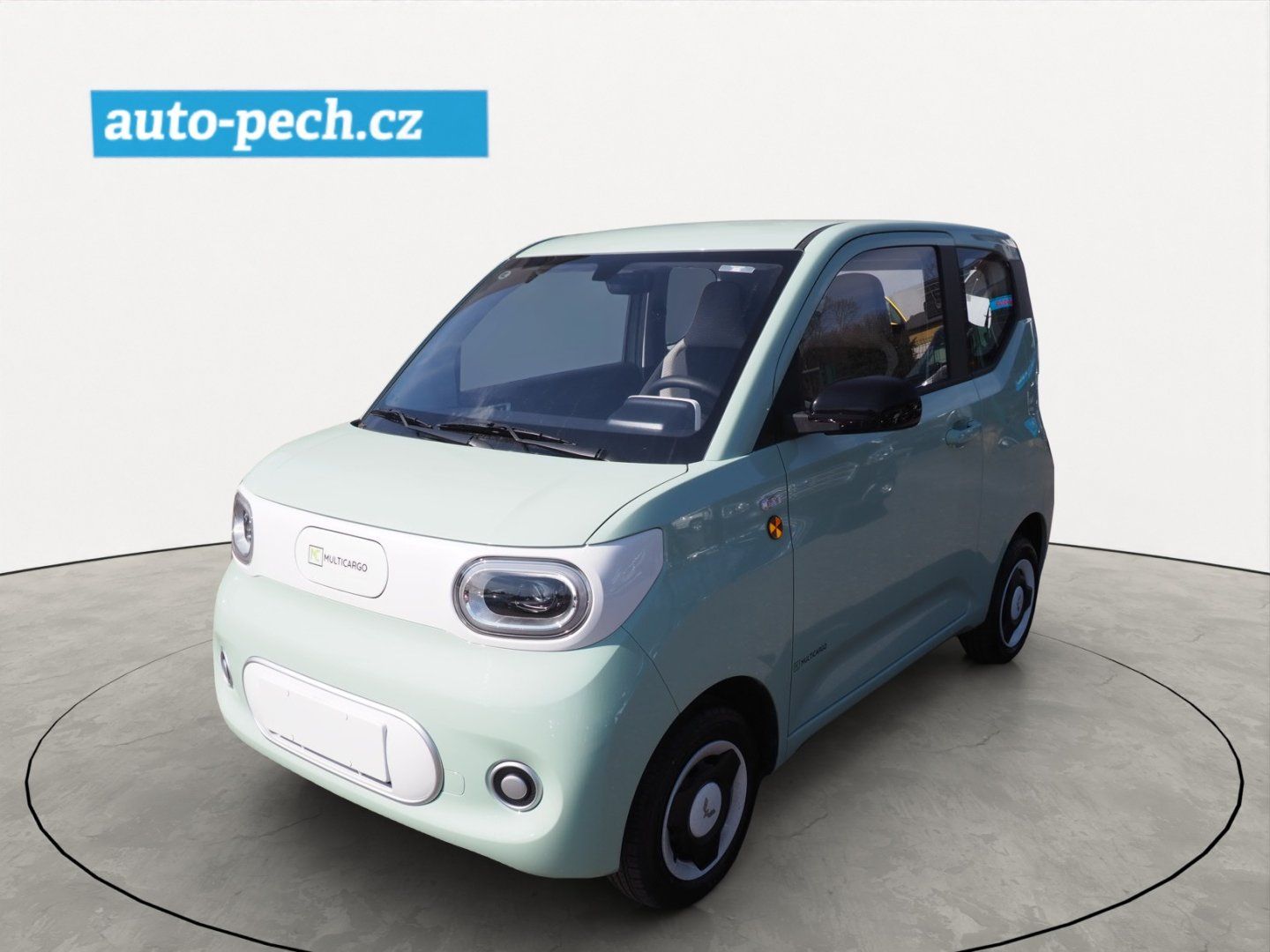 Ostatní, Multicargo eCITY Cargo