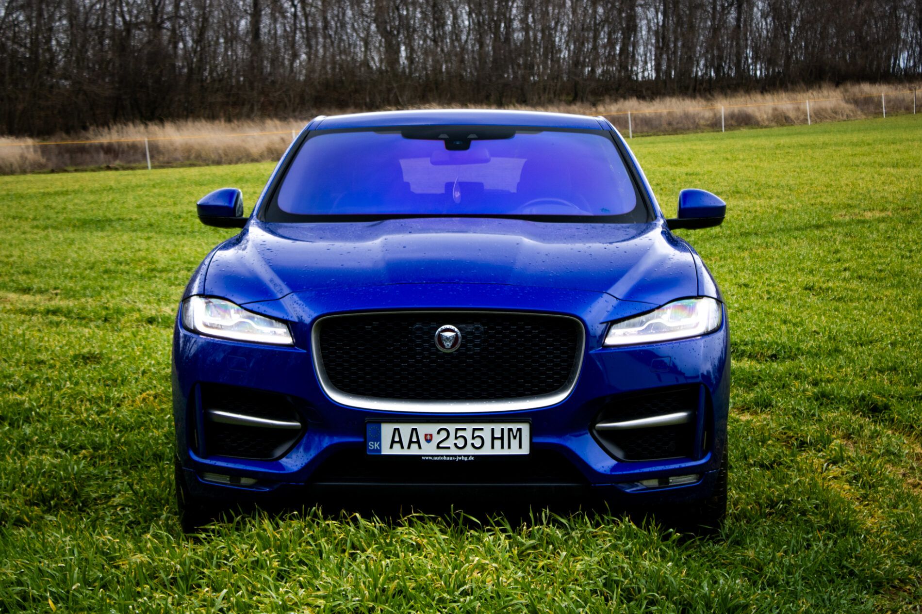 Jaguar F-Pace - fotka 3