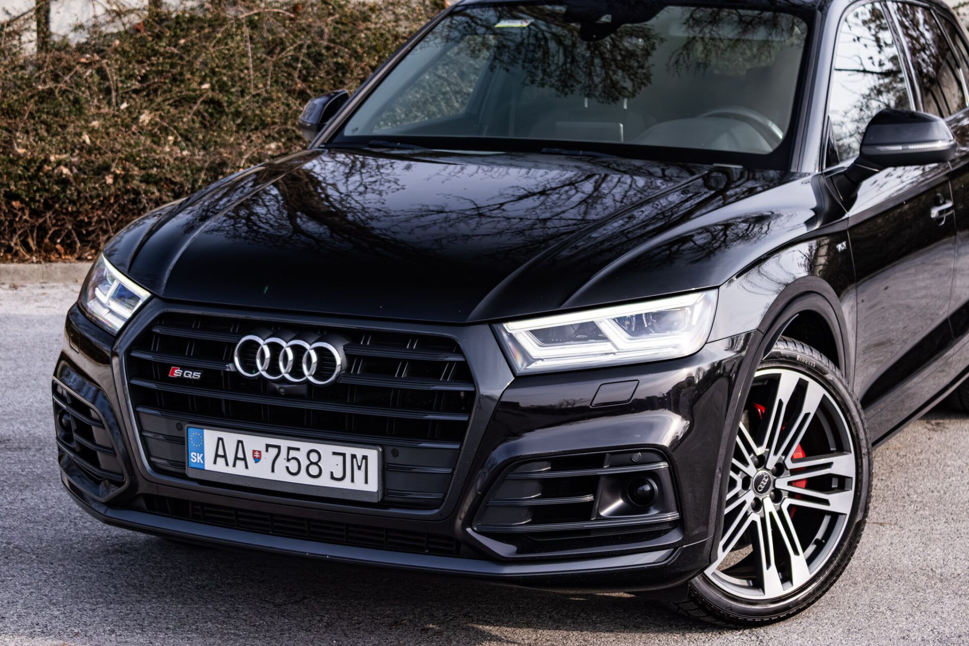 Audi SQ5 - fotka 2