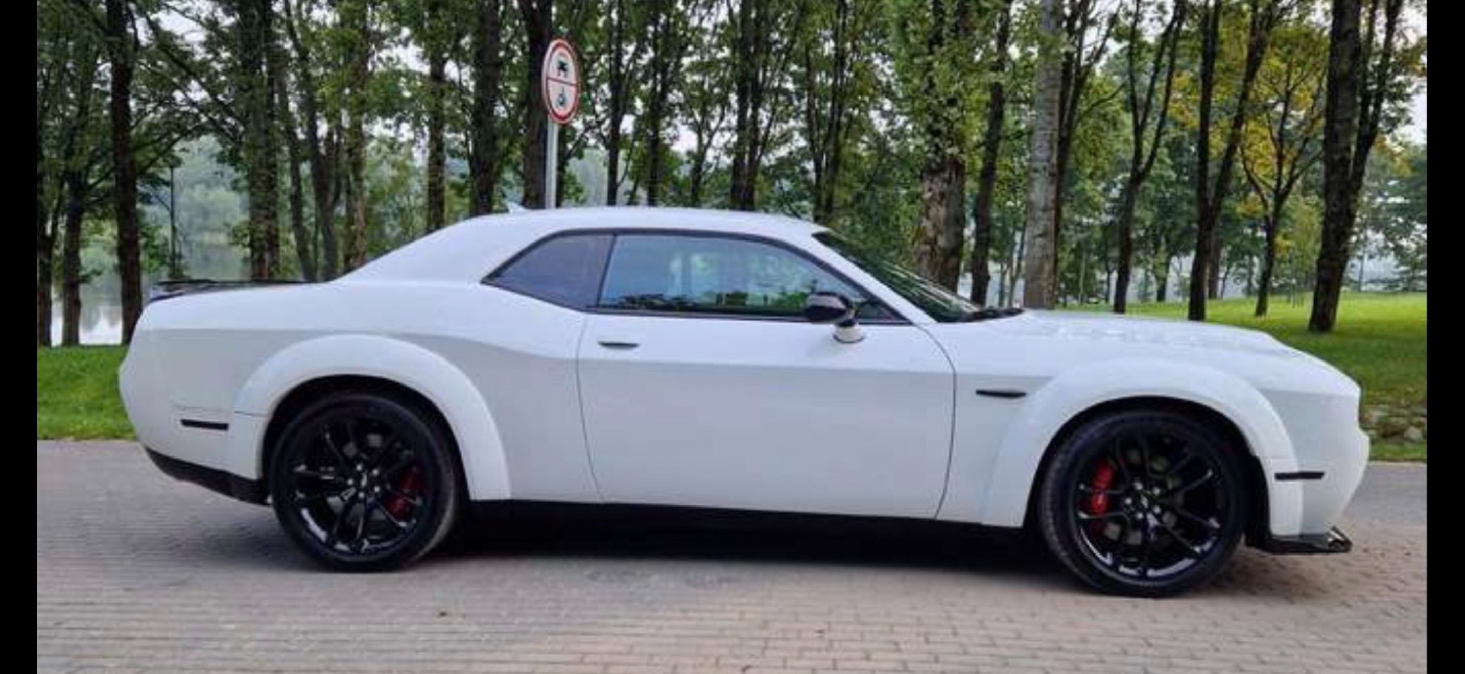 Dodge Challenger, 6.4L ScatPack Wide Body - fotka 4