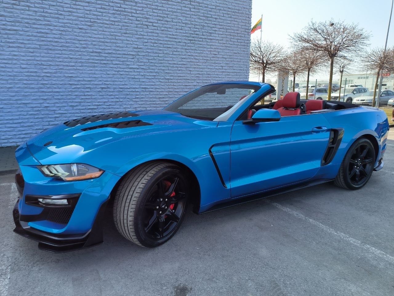 Ford Mustang, 5.0L Premium Plus Convertible - fotka 3