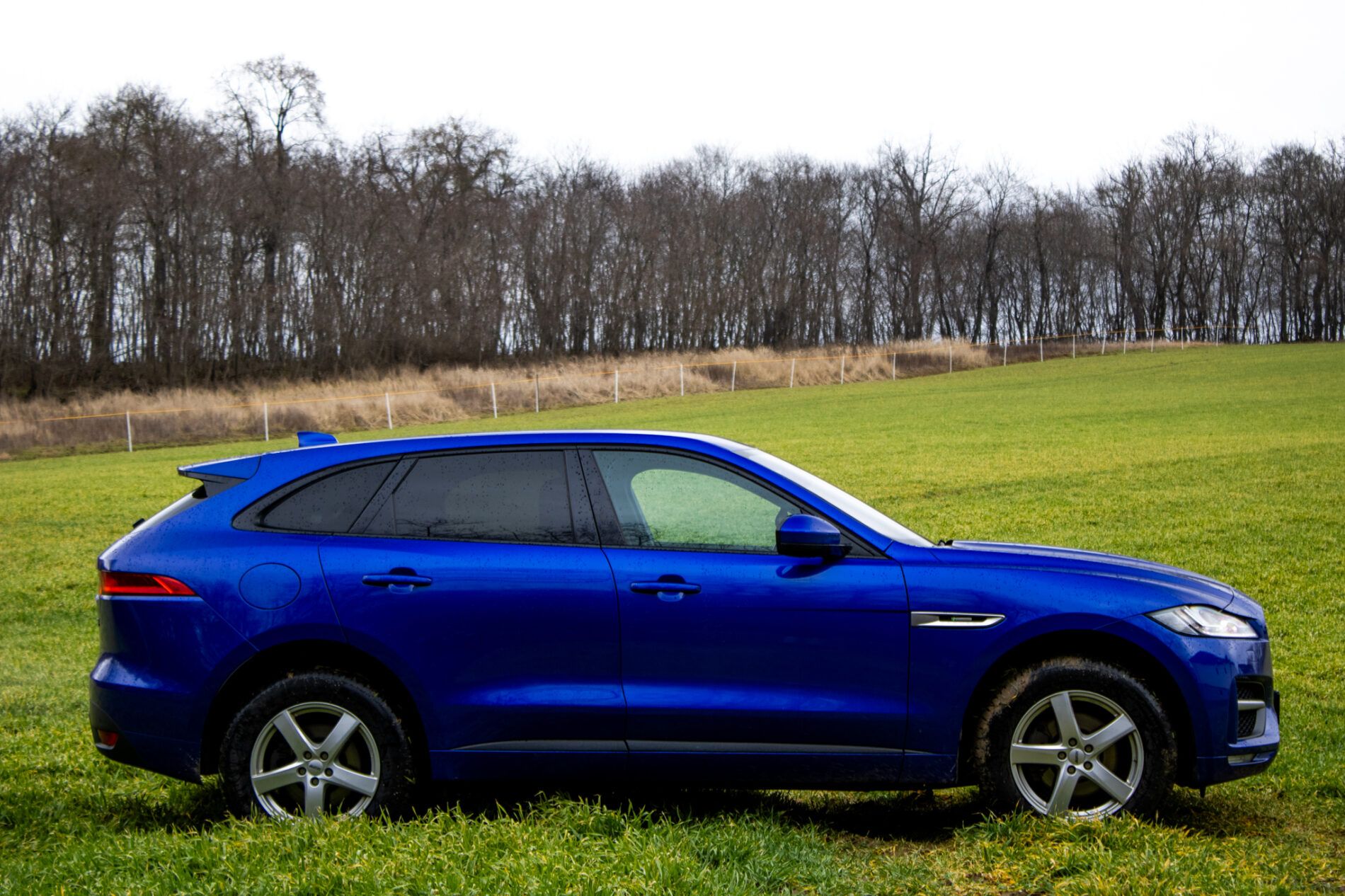 Jaguar F-Pace - fotka 5
