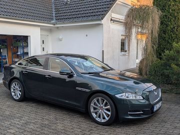 Supersport 5.0 V8